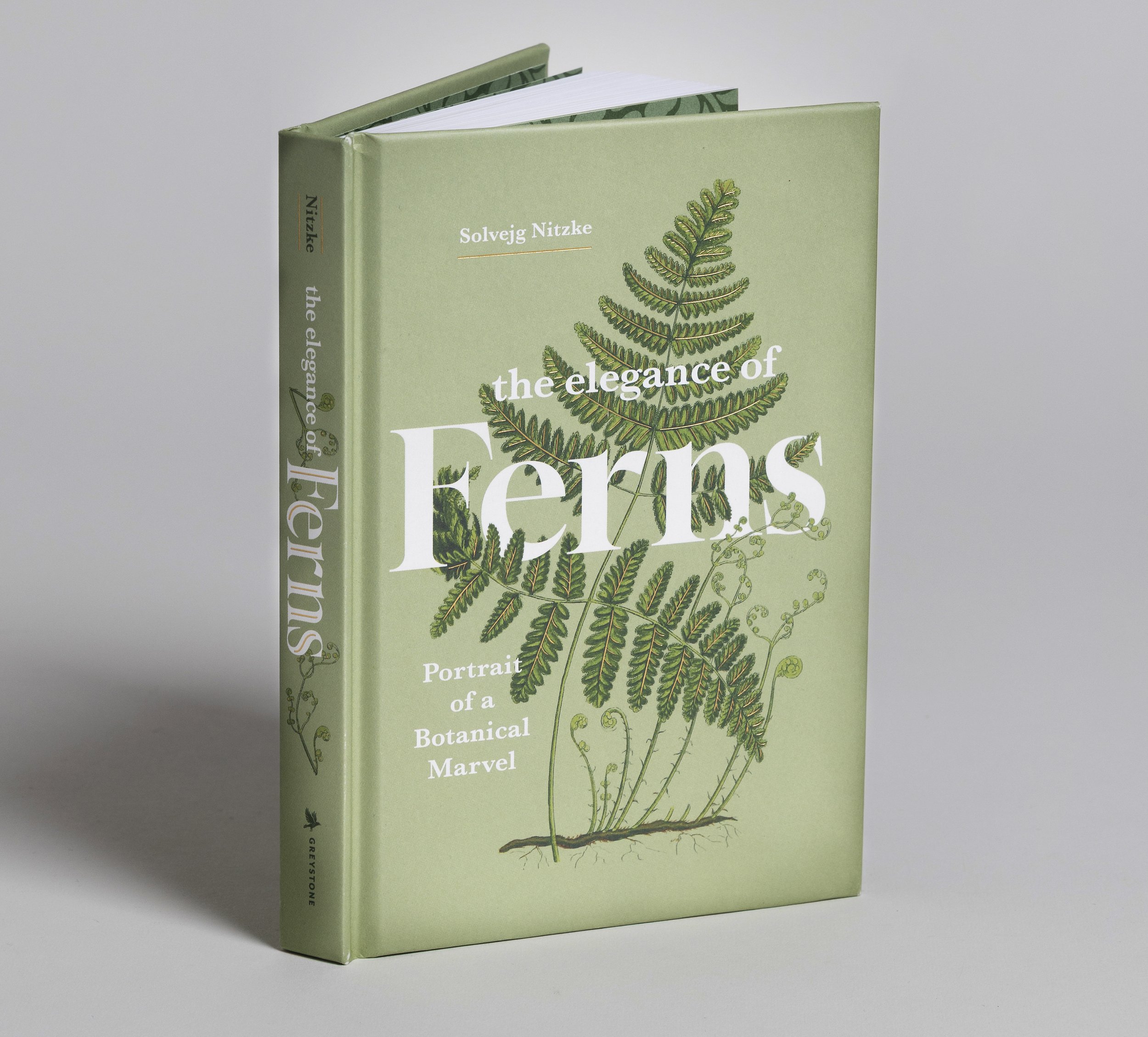 illustrated book cover design by DSGN Dept.