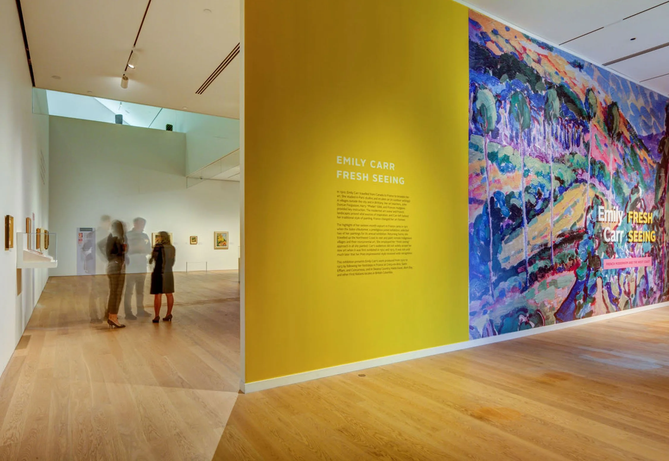Title wall designs, diacritic panels, and dynamic, custom colour palette for art museum