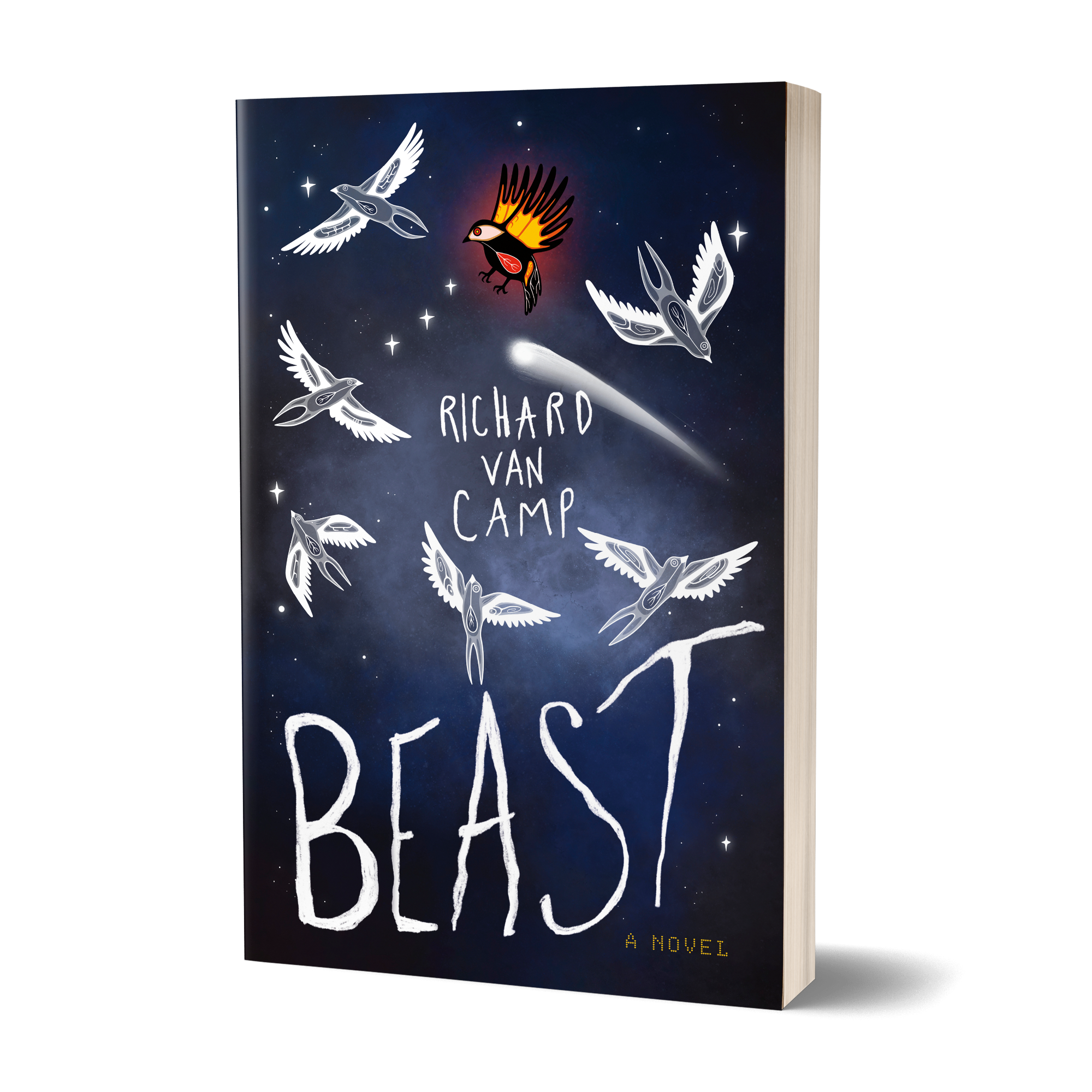 Richard Van Camp Beast book cover
