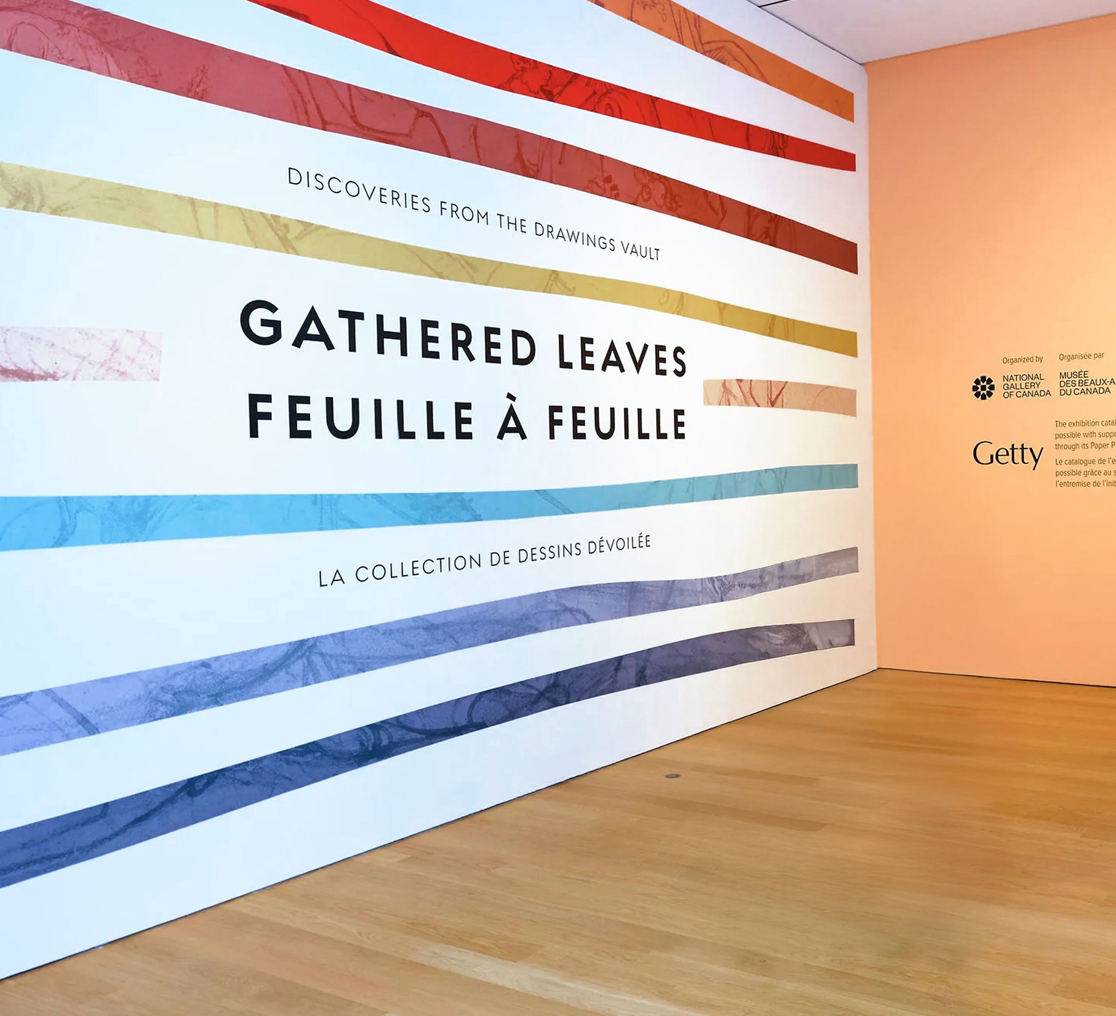 Exhibition design for Gathered LEaves 