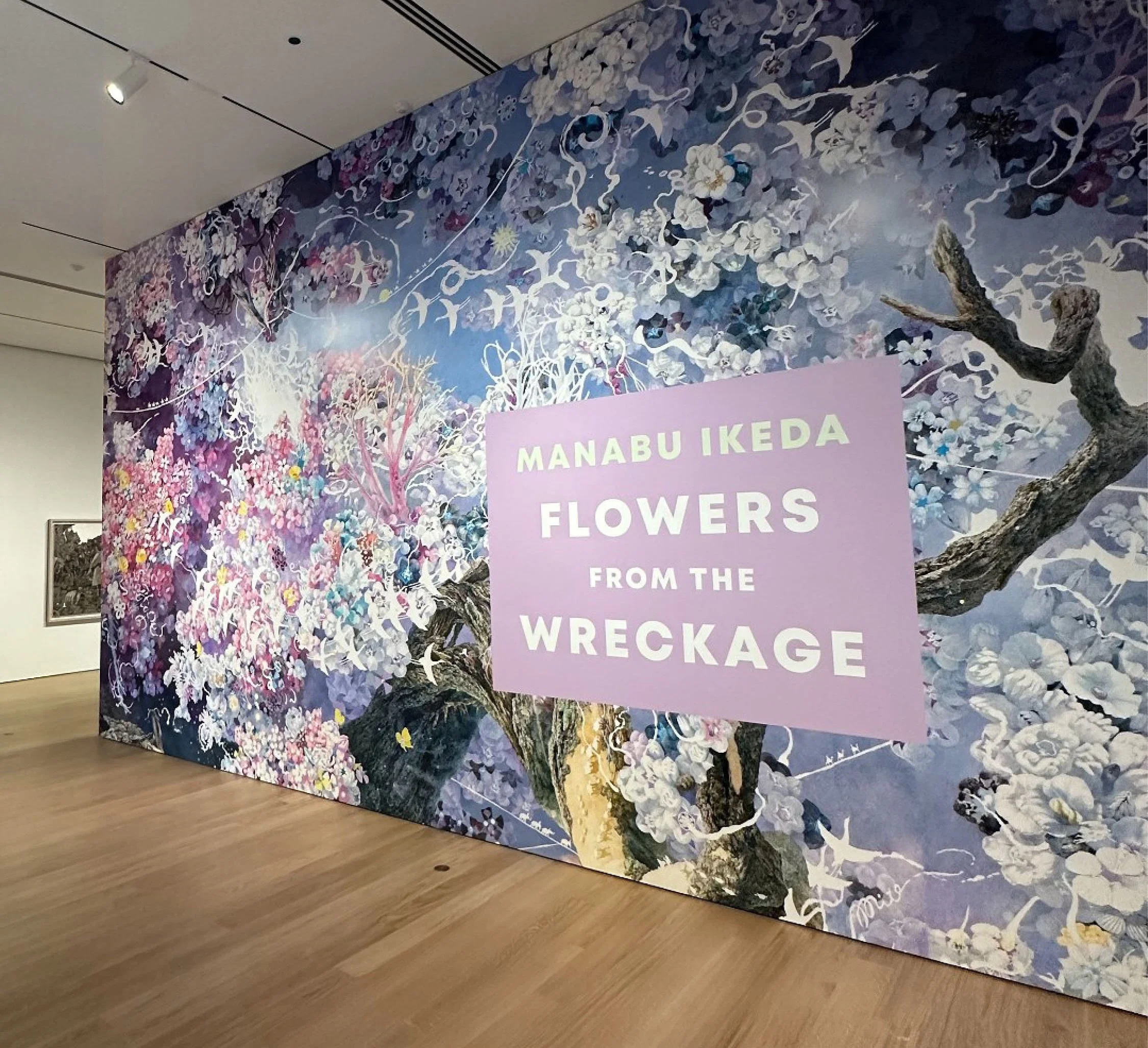 Flowers from the Wreckage exhibition 
design graphics