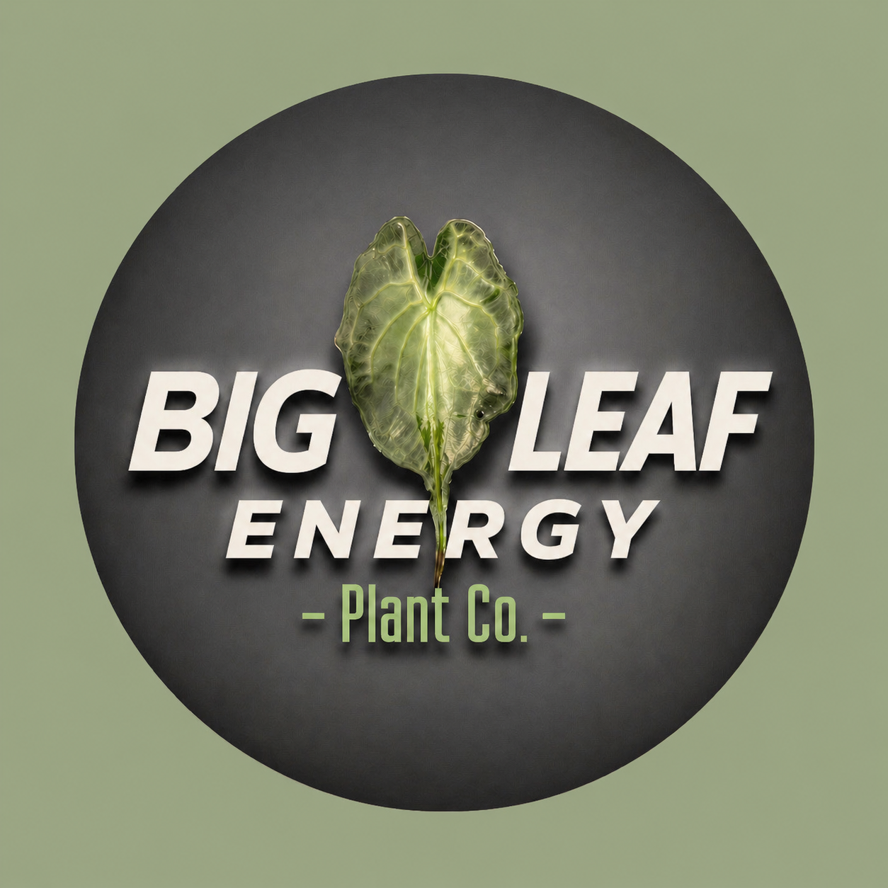Logo for Big Leaf Energy Plant Co. featuring a large green leaf with visible veins on a black circular background, with the company's name in bold white and green text.