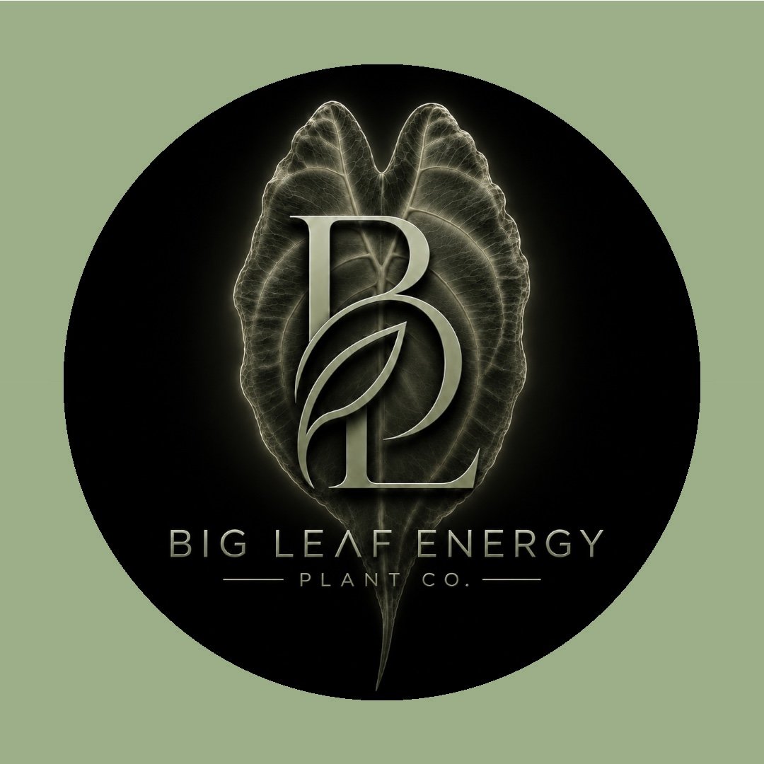 Big Leaf Energy Plant Co.