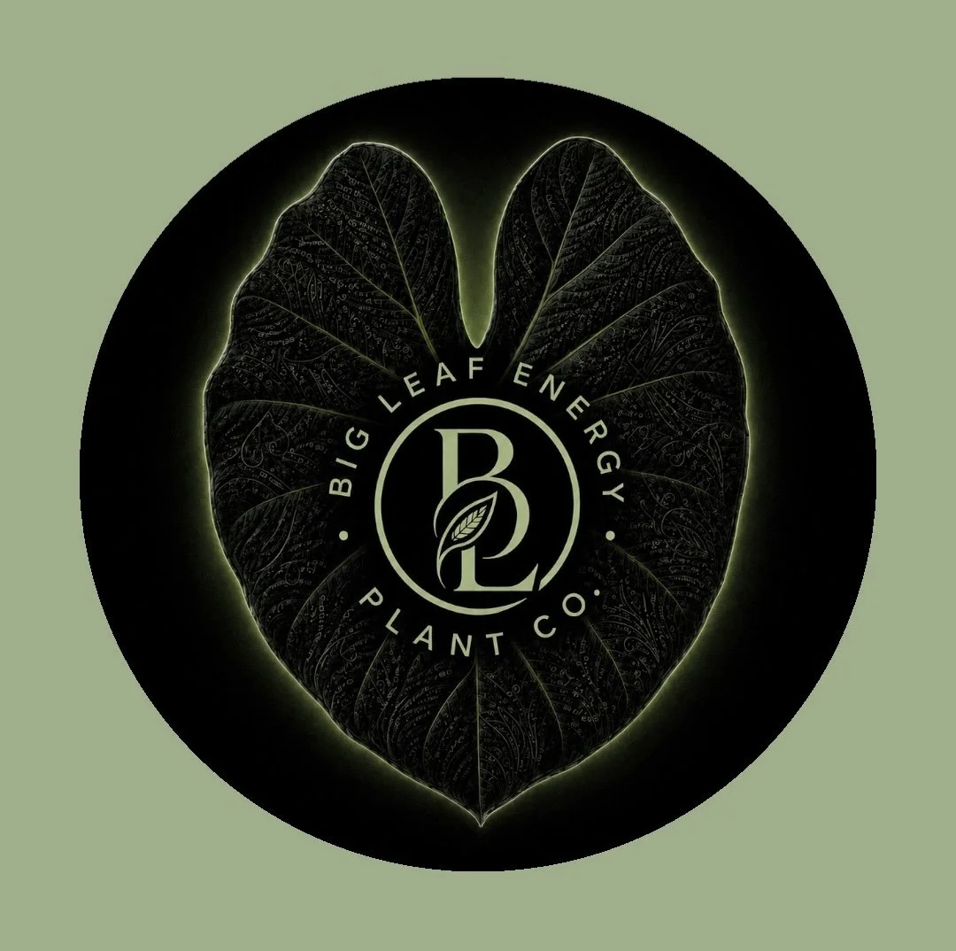 Big Leaf Energy Plant Co.