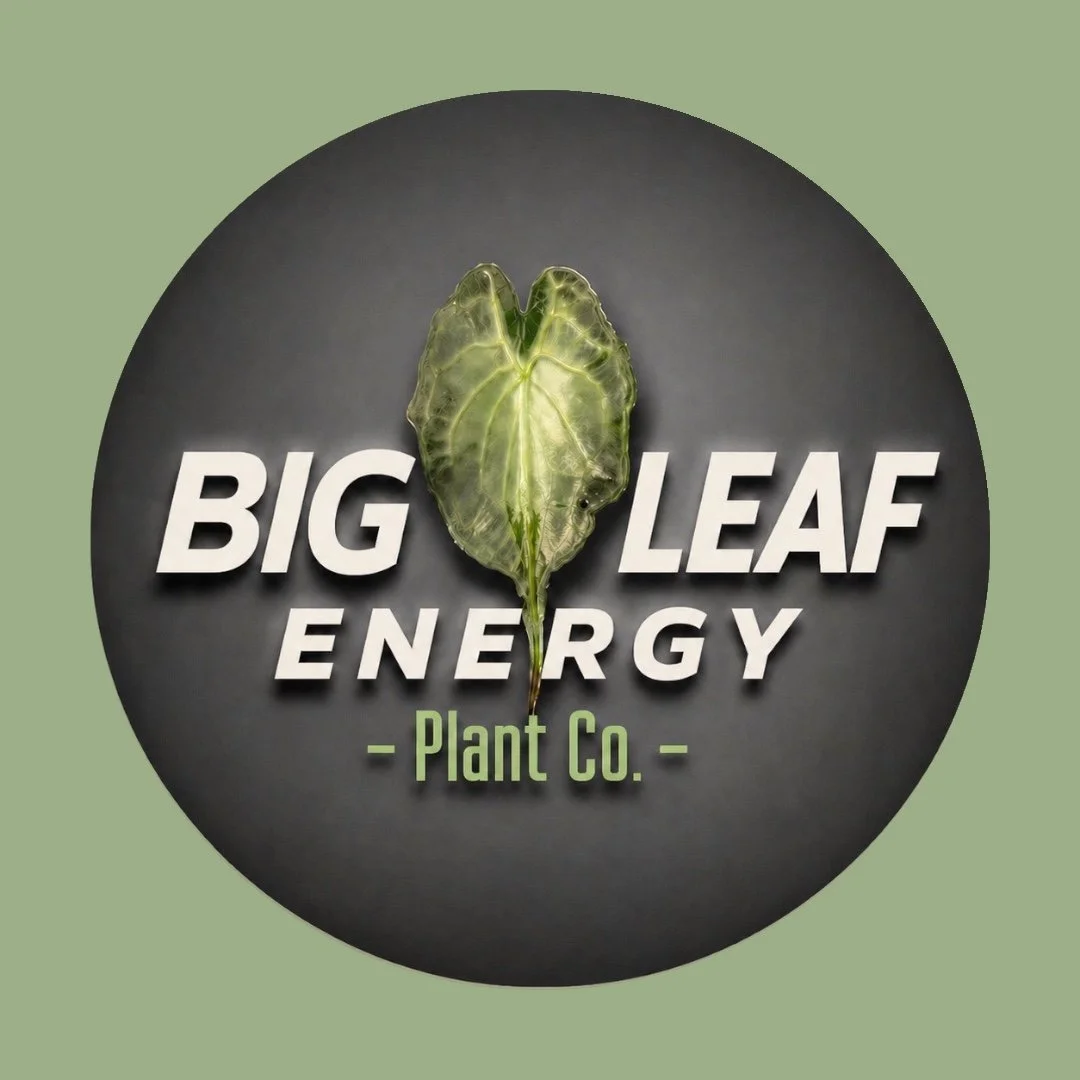 A logo for Big Leaf Energy Plant Co. featuring a large, green leaf with prominent veins on a dark circular background, with the company name in bold white and green text.