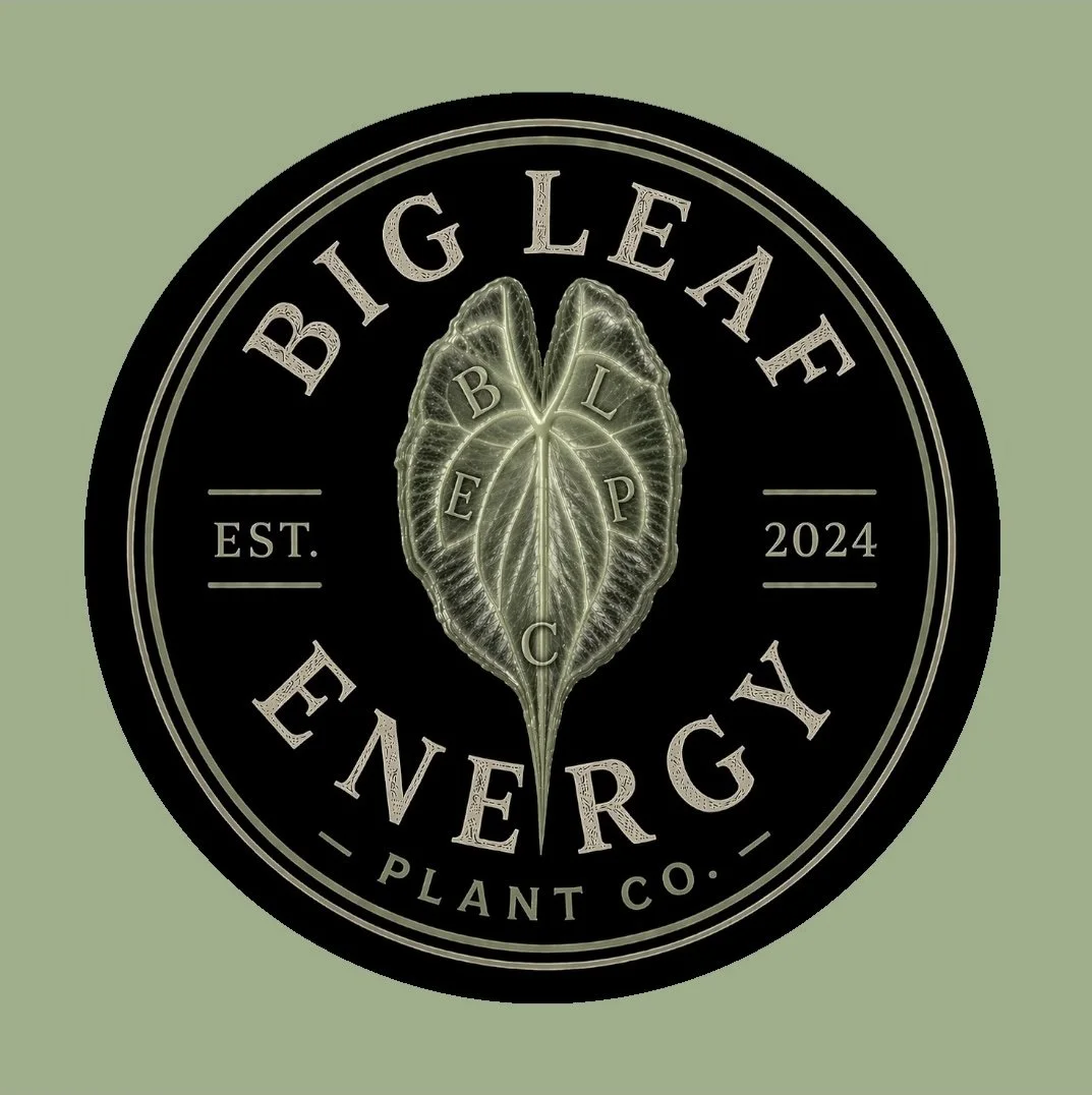 A circular logo for Big Leaf Energy Plant Co. featuring a detailed illuminated leaf with the initials B, E, L, P, C, arranged inside the leaf. The logo includes established year 2024 and the words "Big Leaf Energy" and "Plant Co." on a black background with a green outer background.