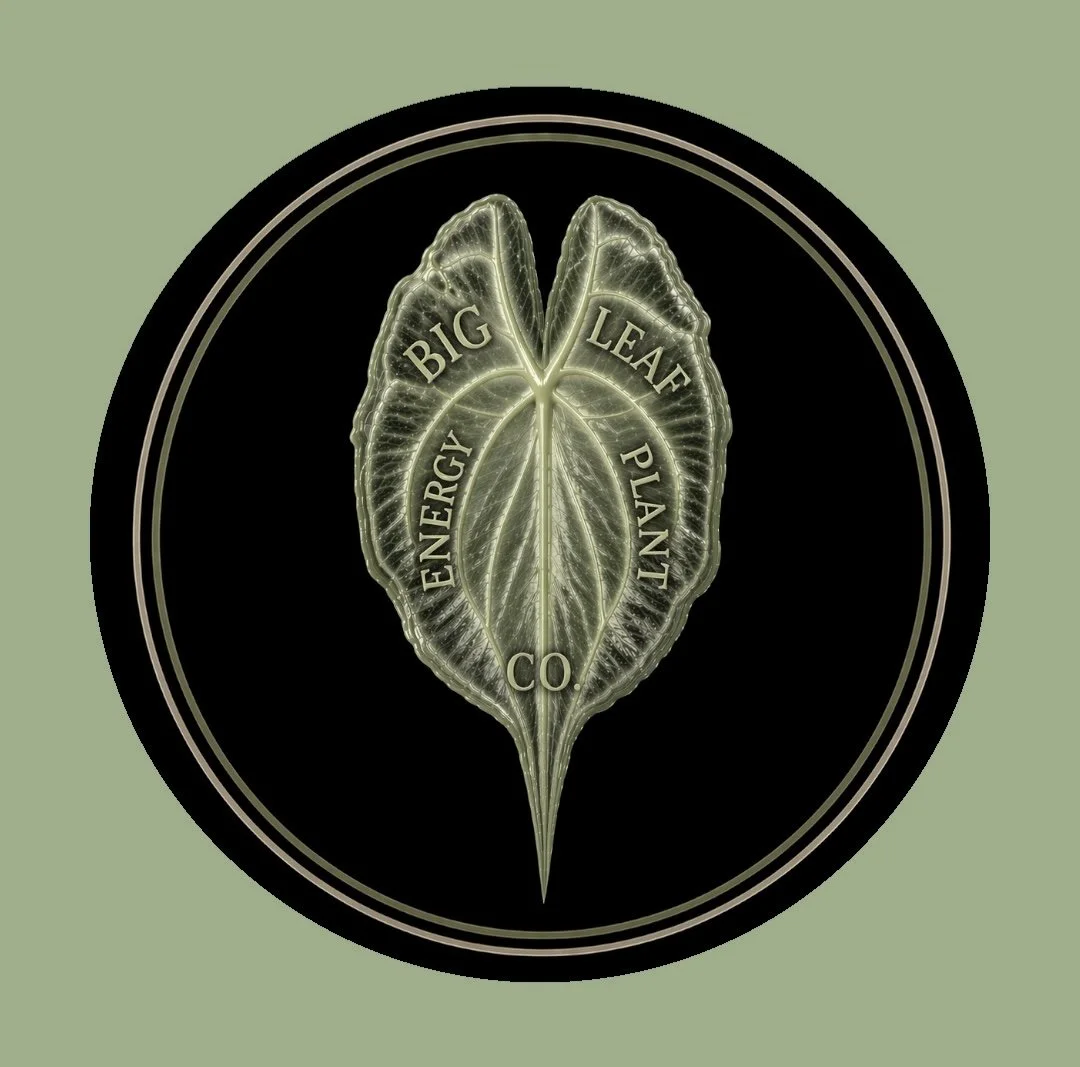 A leaf with writing inside it that says "Big Leaf Energy Plant Co."