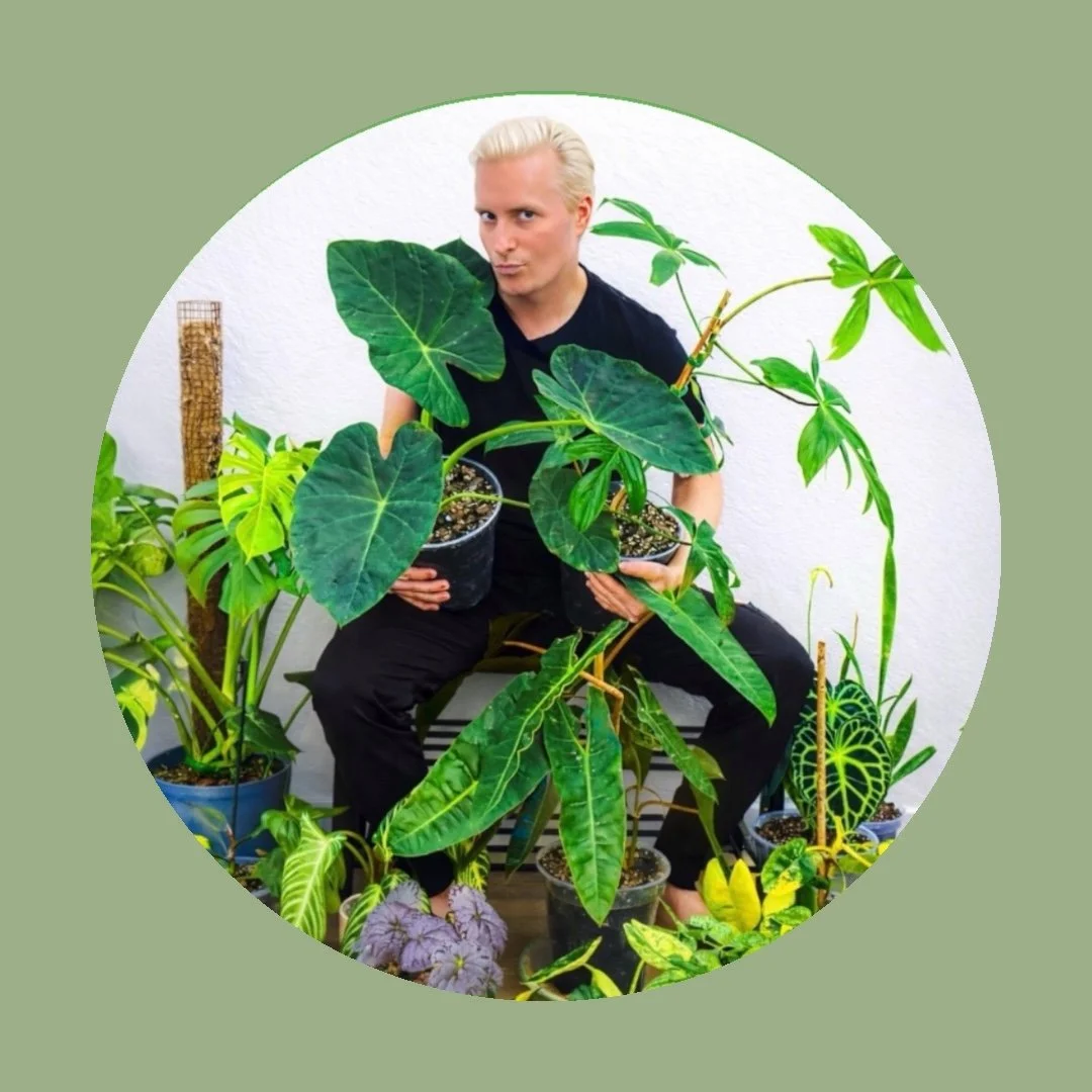 Person with platinum blonde hair sitting amidst various potted green plants, holding two of them, with a playful expression.