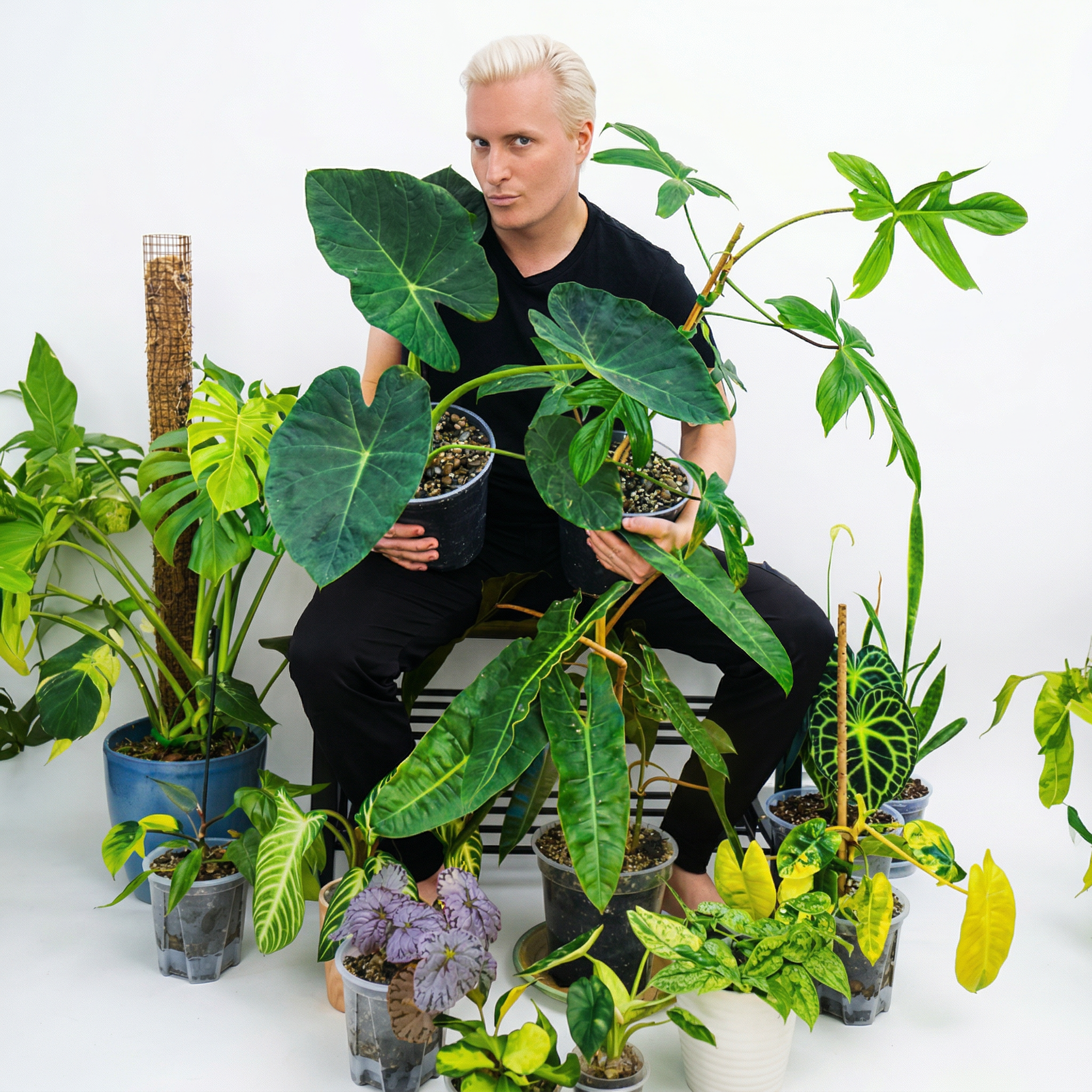 A person with blond hair wearing a black shirt sitting among various potted houseplants against a white background.