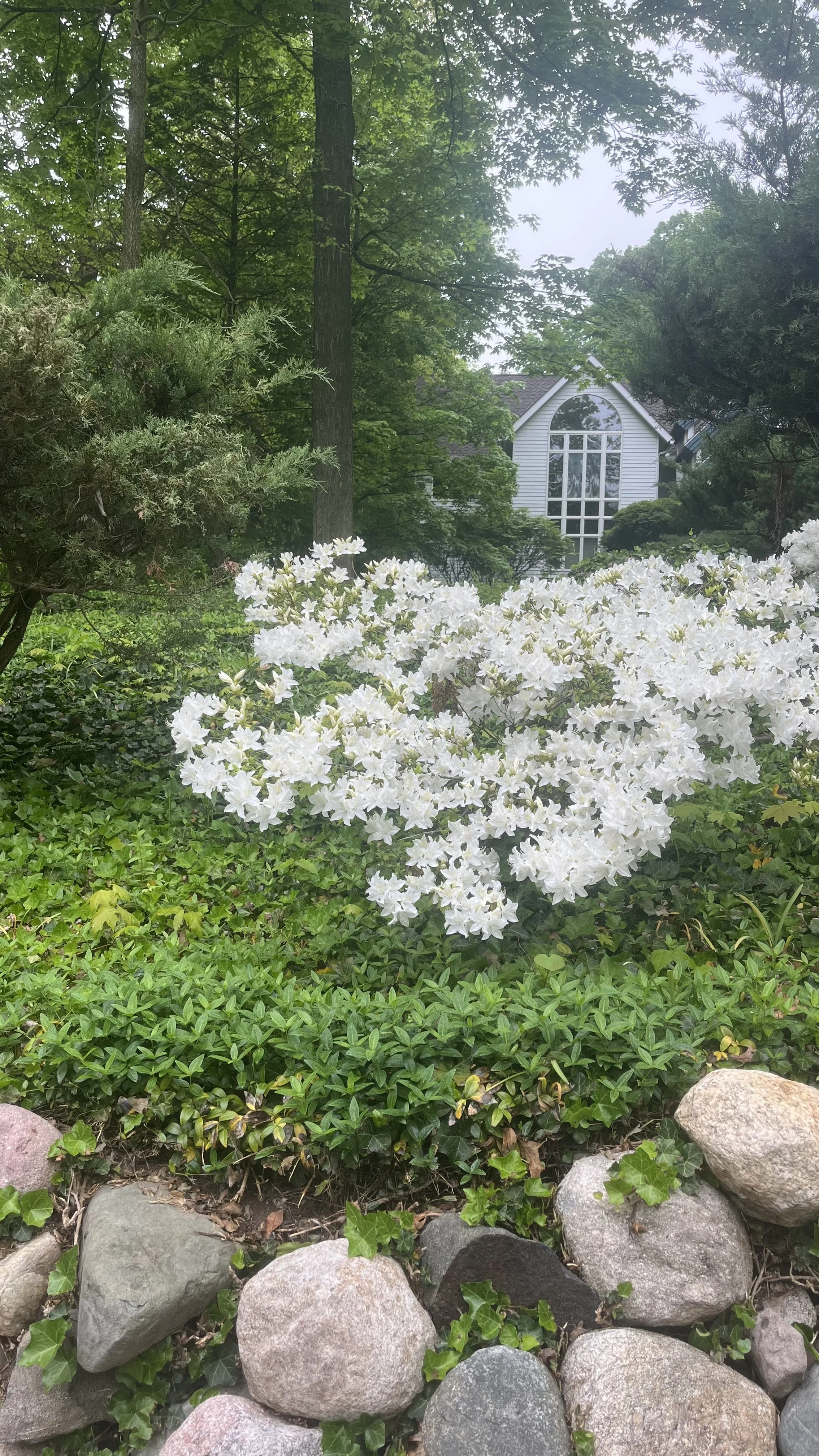 The Heart Is Blooming With The Body