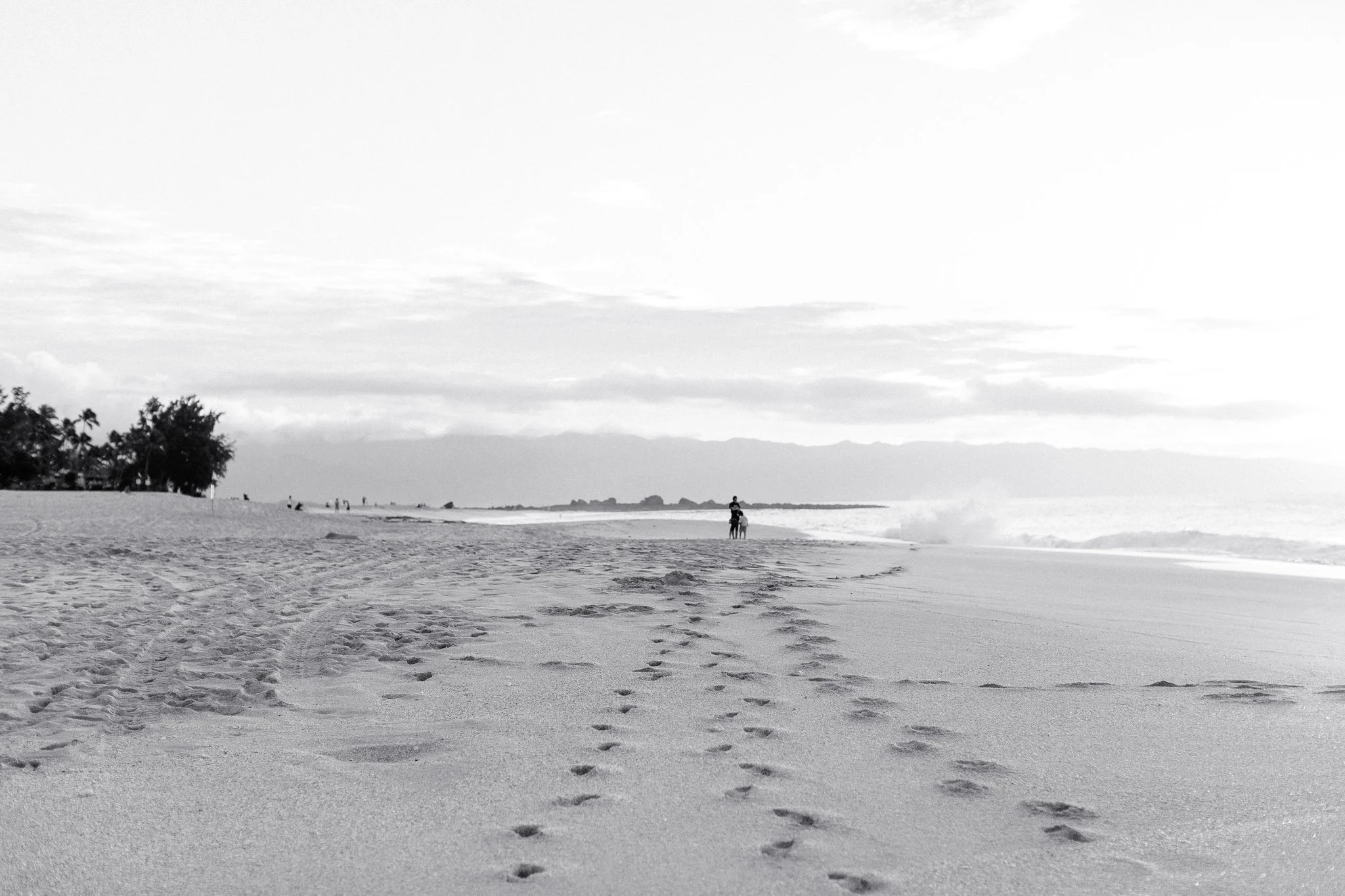 grief blog, life is confusing, life's answers