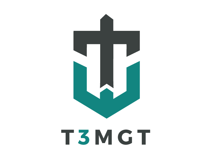 Logo featuring a stylized black and gray fighter jet above a blue shield, with the text 'T3MGT' underneath.