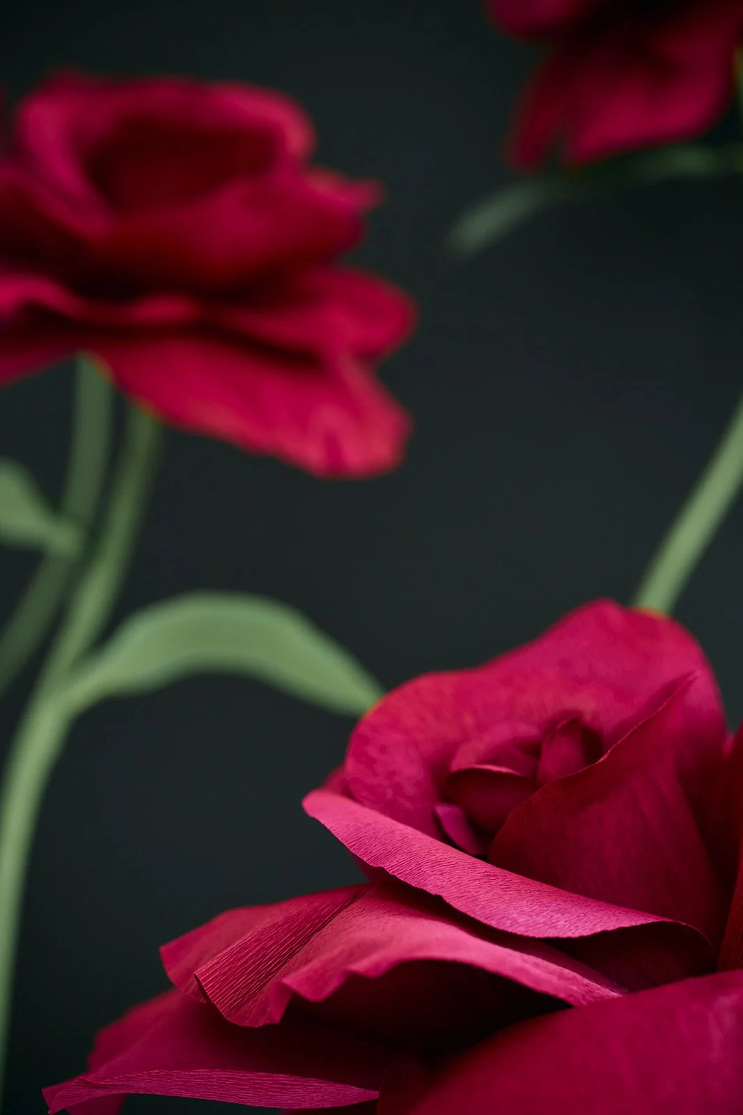 Giant Red Rose Paper Flowers