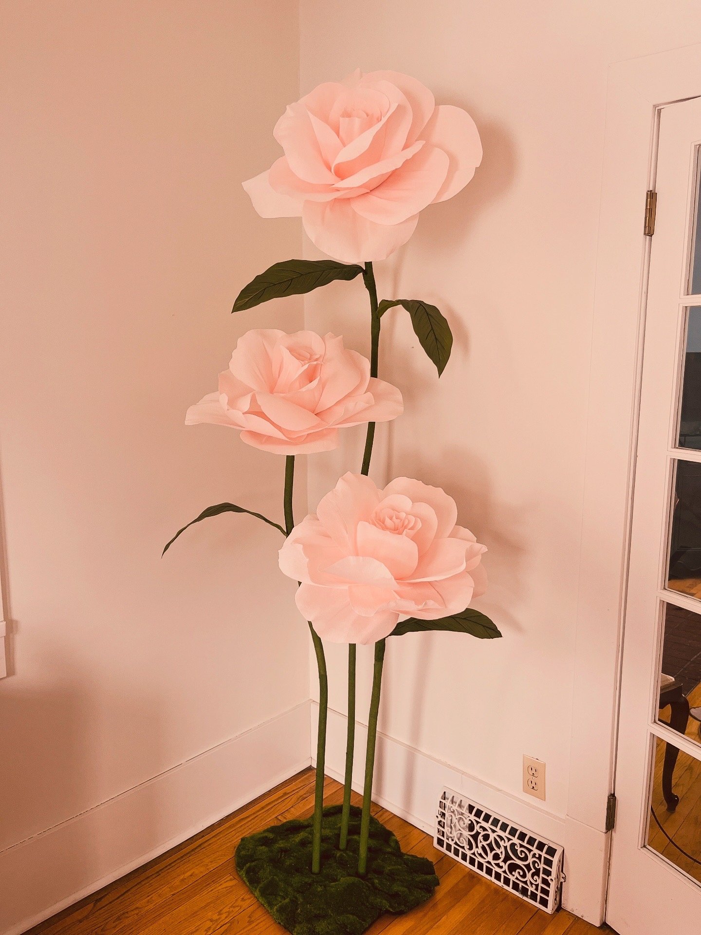 image4.jpeg