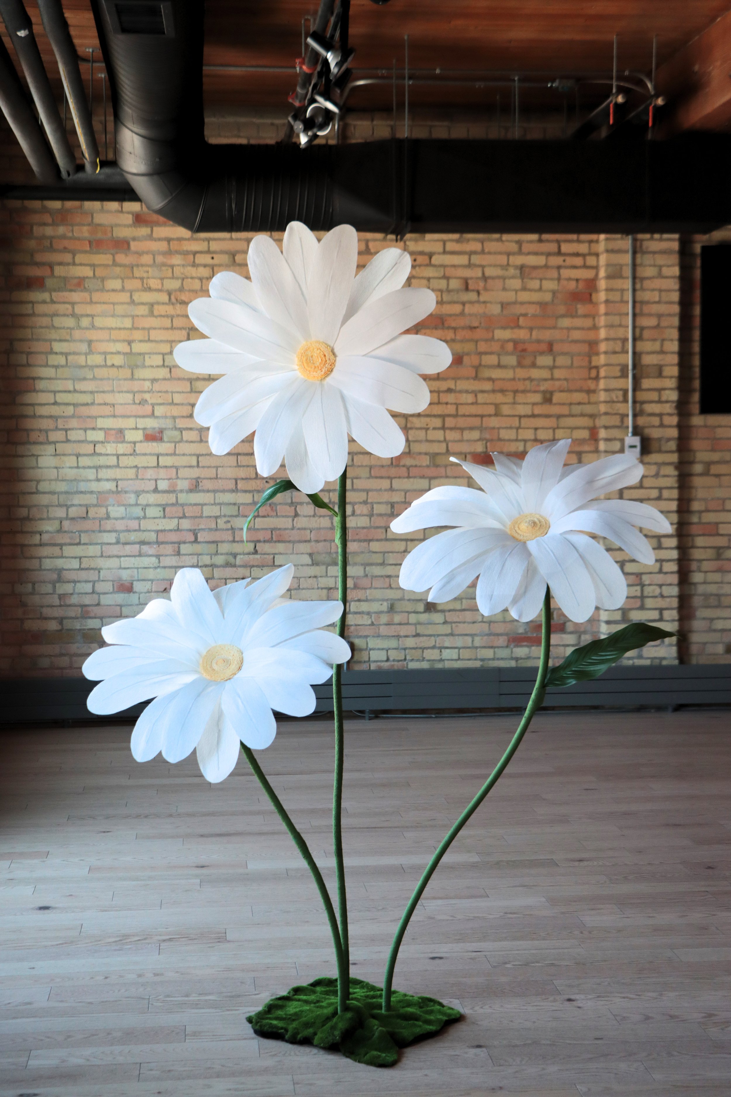 Set of 3.jpg