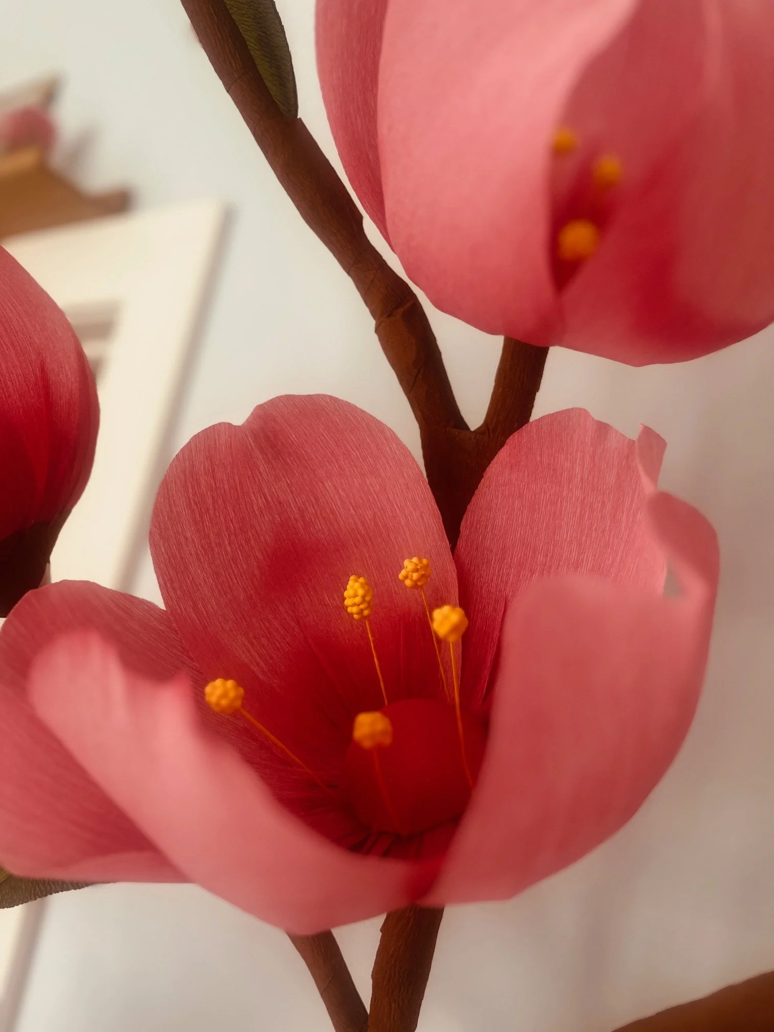 Cherry Blossom Giant Paper Flowers