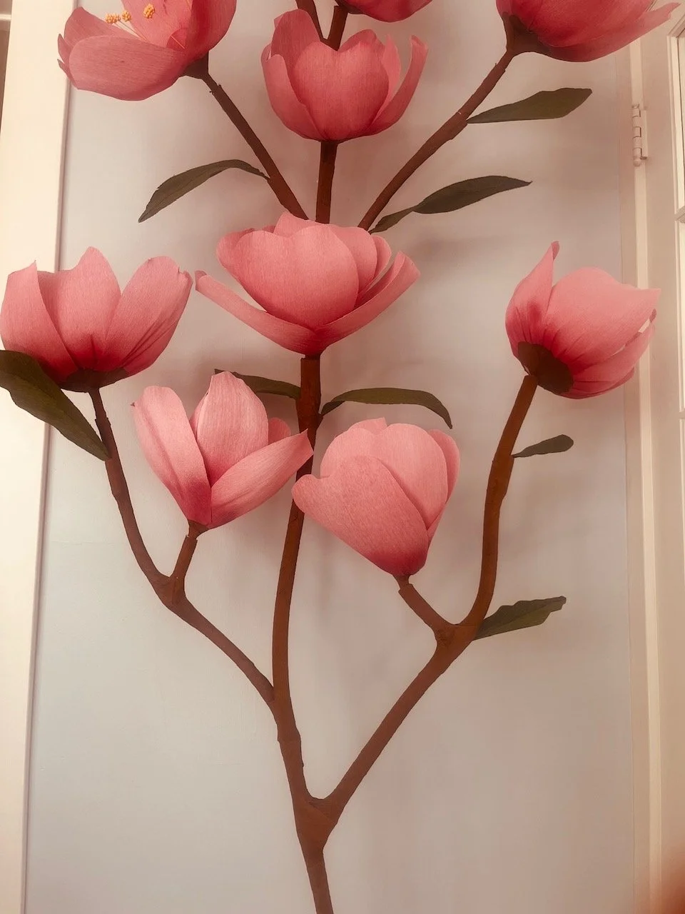 2026_Cherry_Blossom_3.jpeg