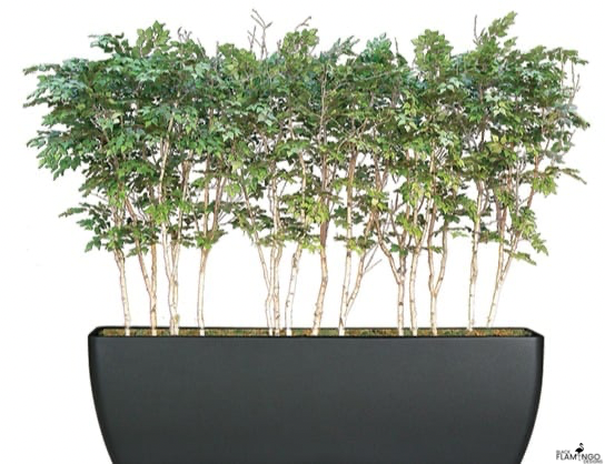 Artificial White Birch Tree Grove