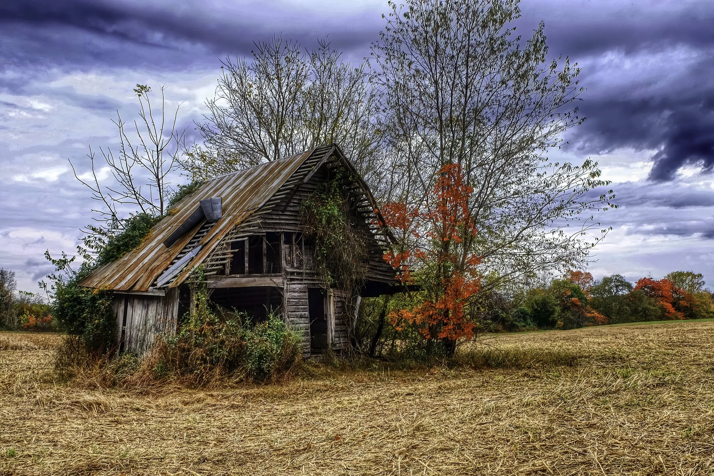 Barn1-denoise-clear.jpg