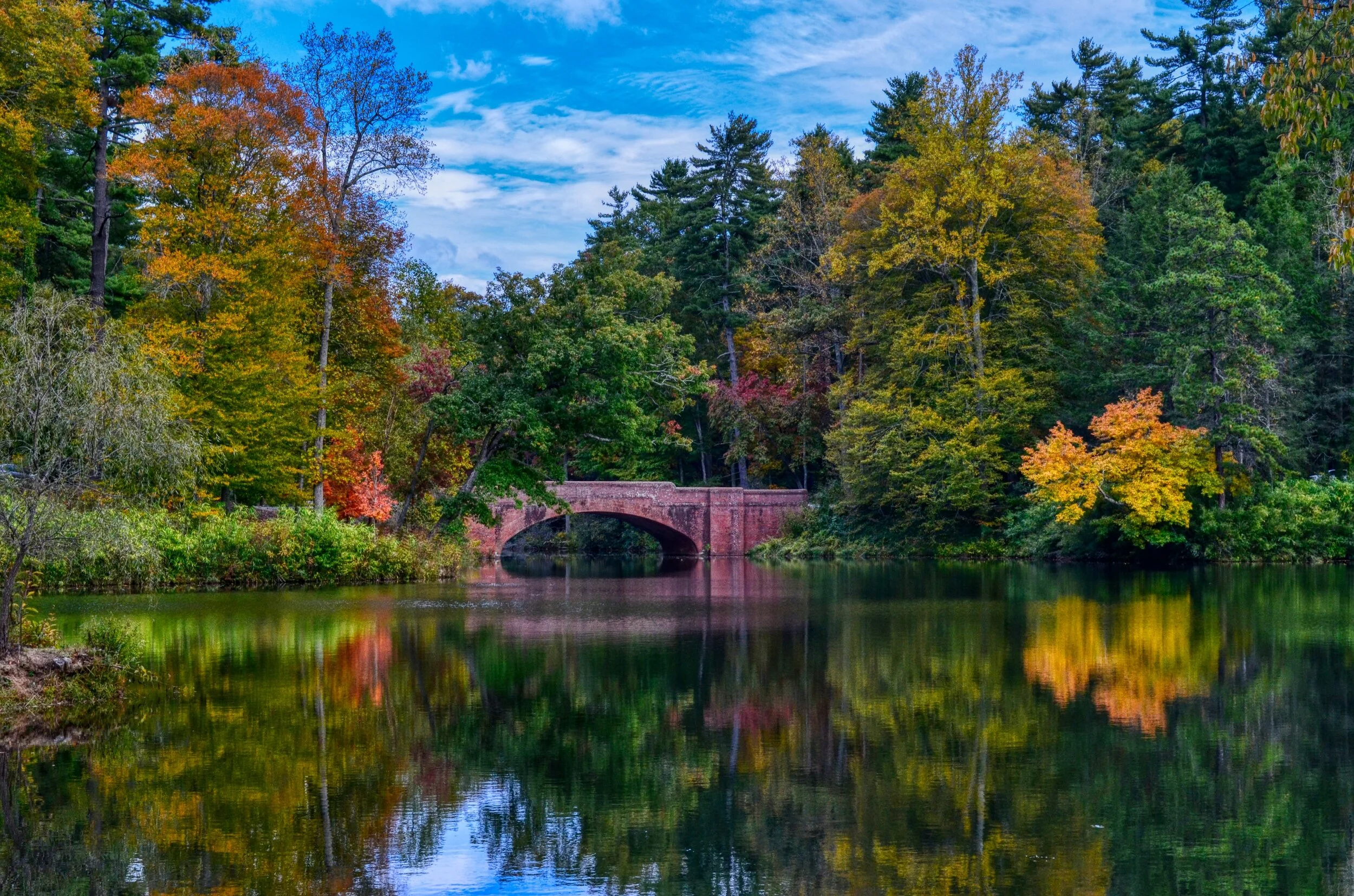 dsc_05212.jpg