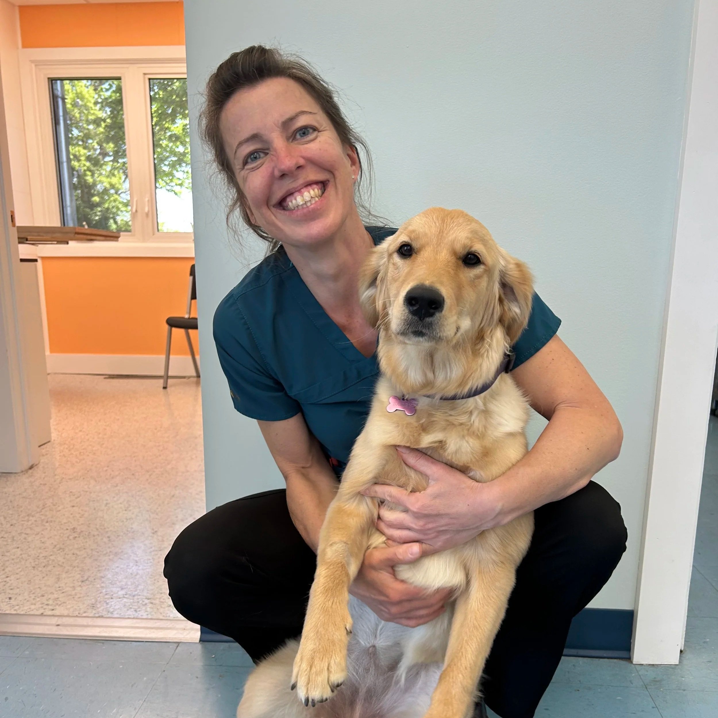 A smiling woman with brown hair in scrubs holding a Golden Retriever puppy indoors with a pastel green wall and a window in the background.