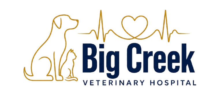 Big Creek Veterinary Hospital
