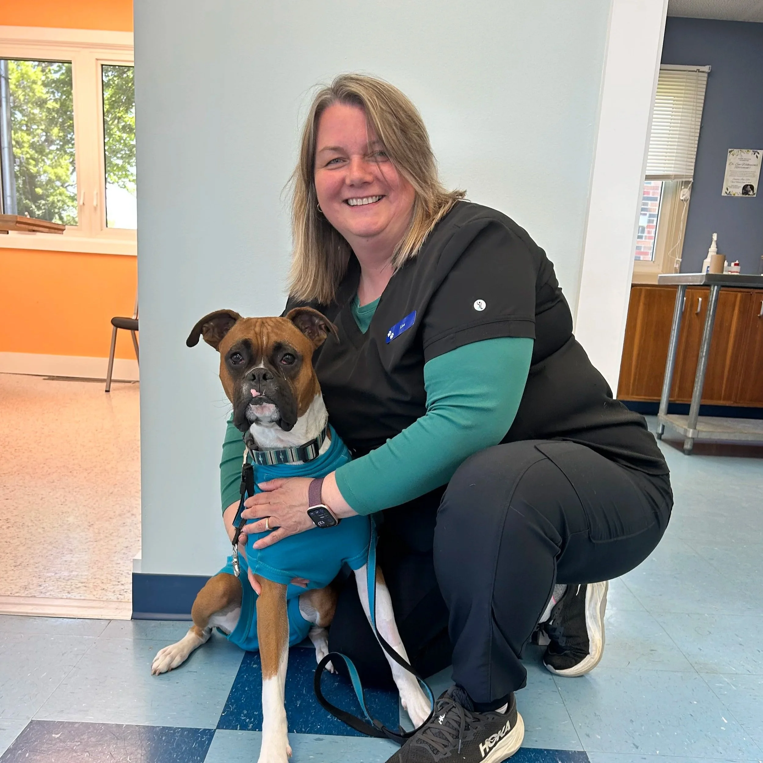 A woman with blonde hair smiling at the camera, kneeling down and hugging a brown and white dog wearing a blue vest and collar, in an indoor setting with multicolored tiled flooring and windows in the background.