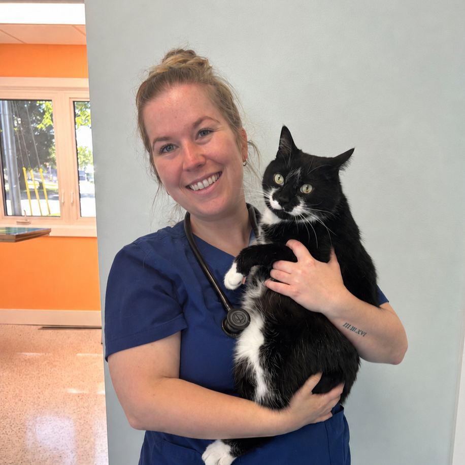 A smiling female veterinarian in blue scrubs holding a black and white cat inside a veterinary clinic.