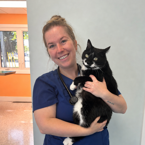 Dr. Mindy Addison, veterinarian at Big Creek Veterinary Hospital in Delhi, Ontario