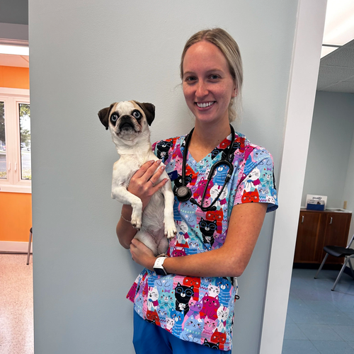 Meghan, Registered Veterinary Technician at Big Creek Veterinary Hospital in Delhi, Ontario