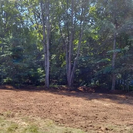 Land Clearing