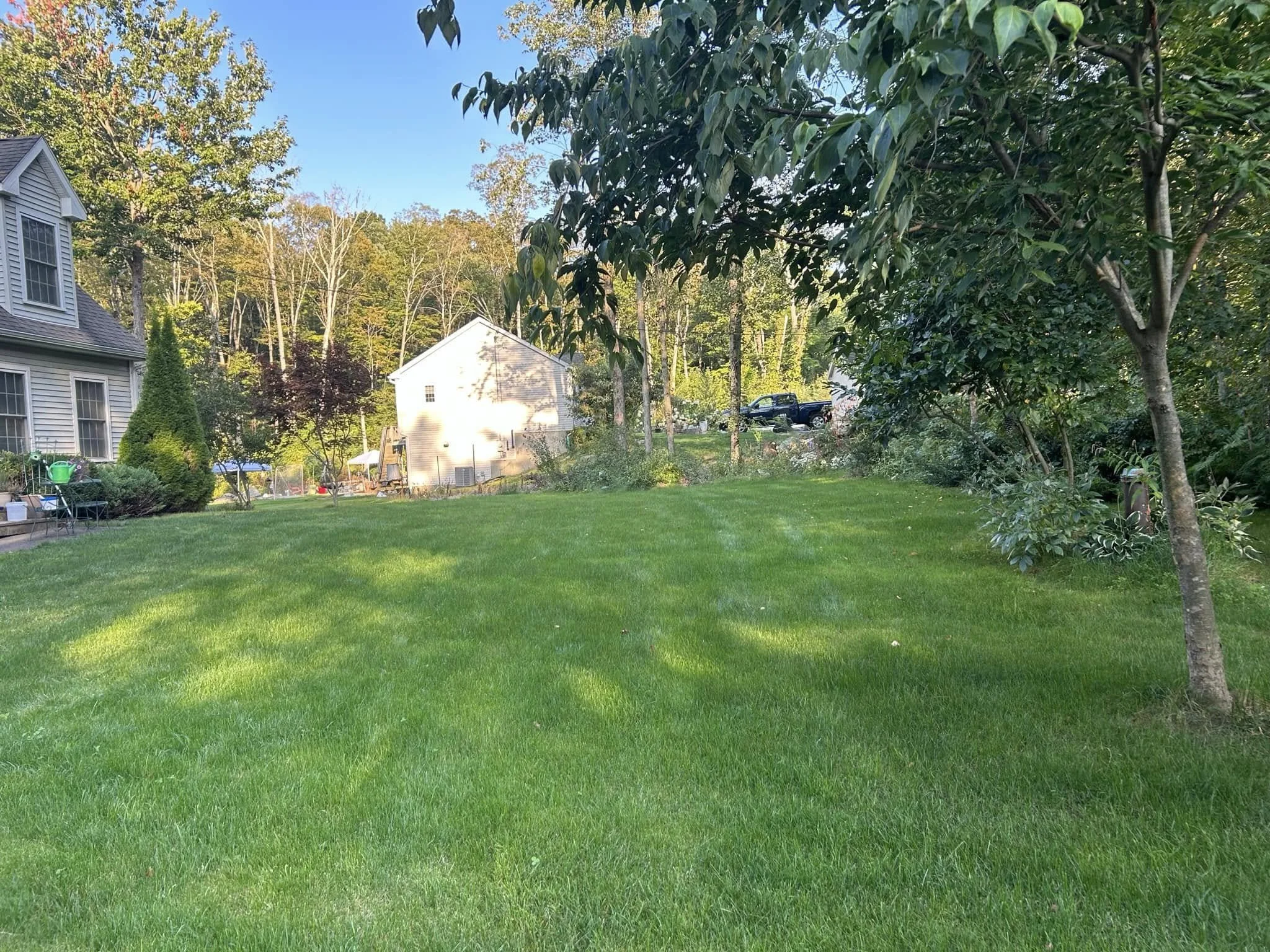 Lawn Mowing & Maintenance