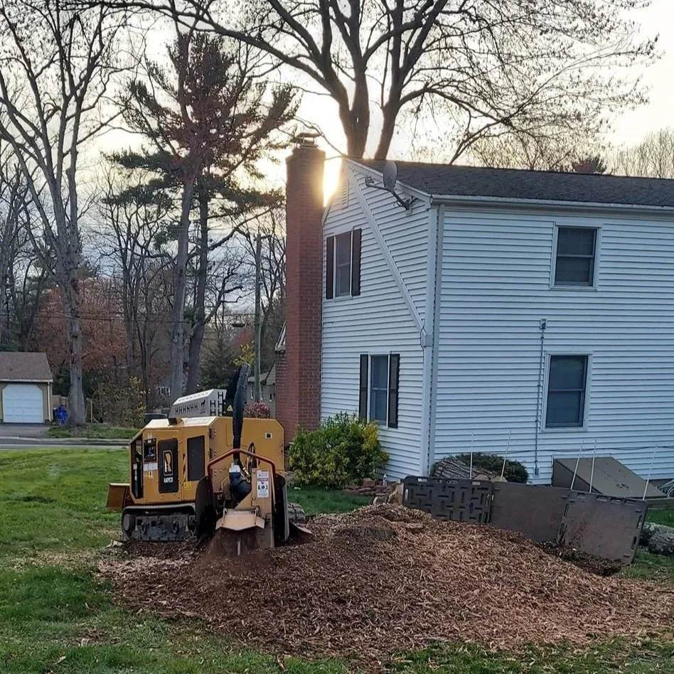 Stump Grinding