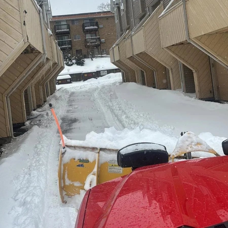 Snow Removal