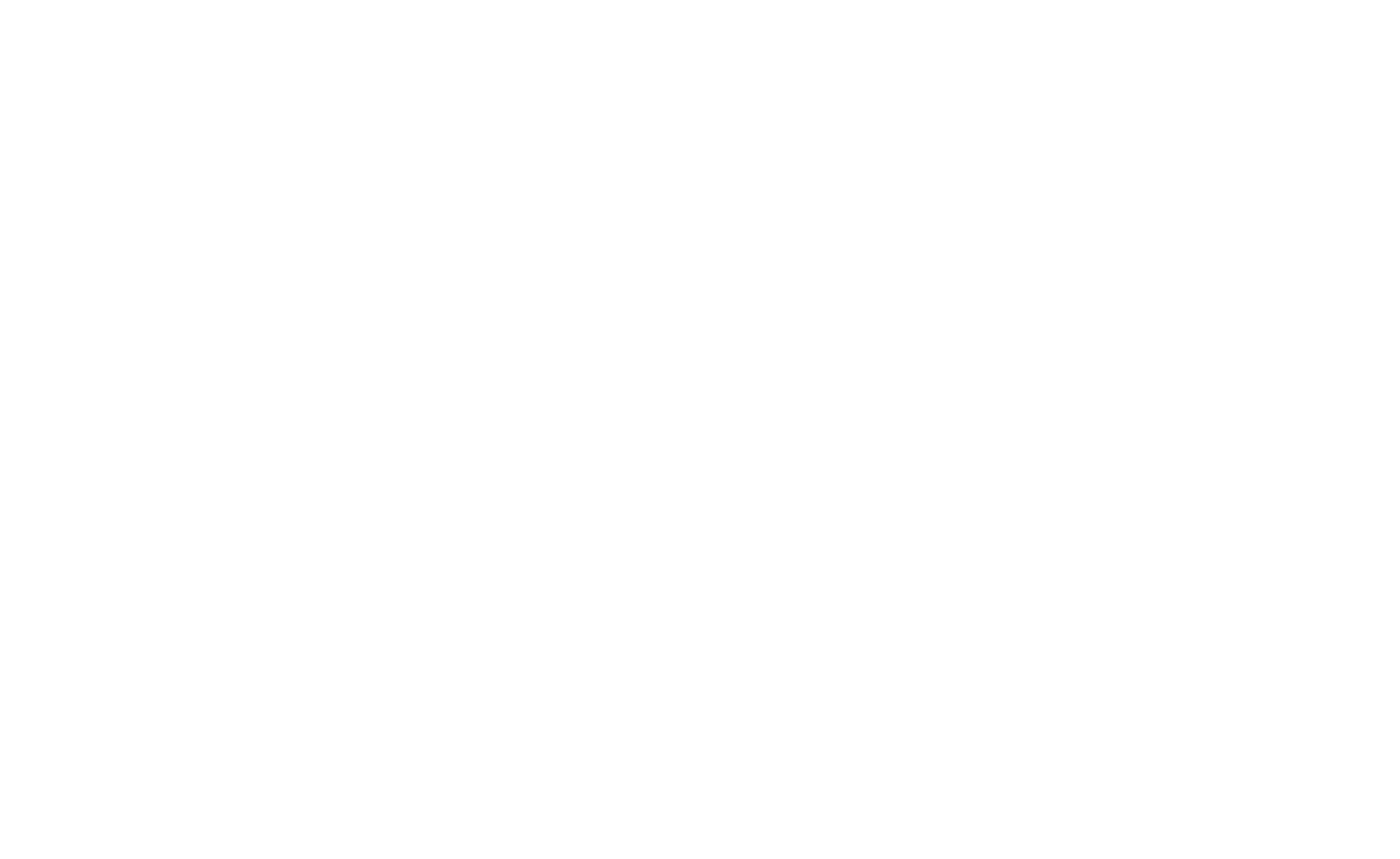 The Mayerson Company