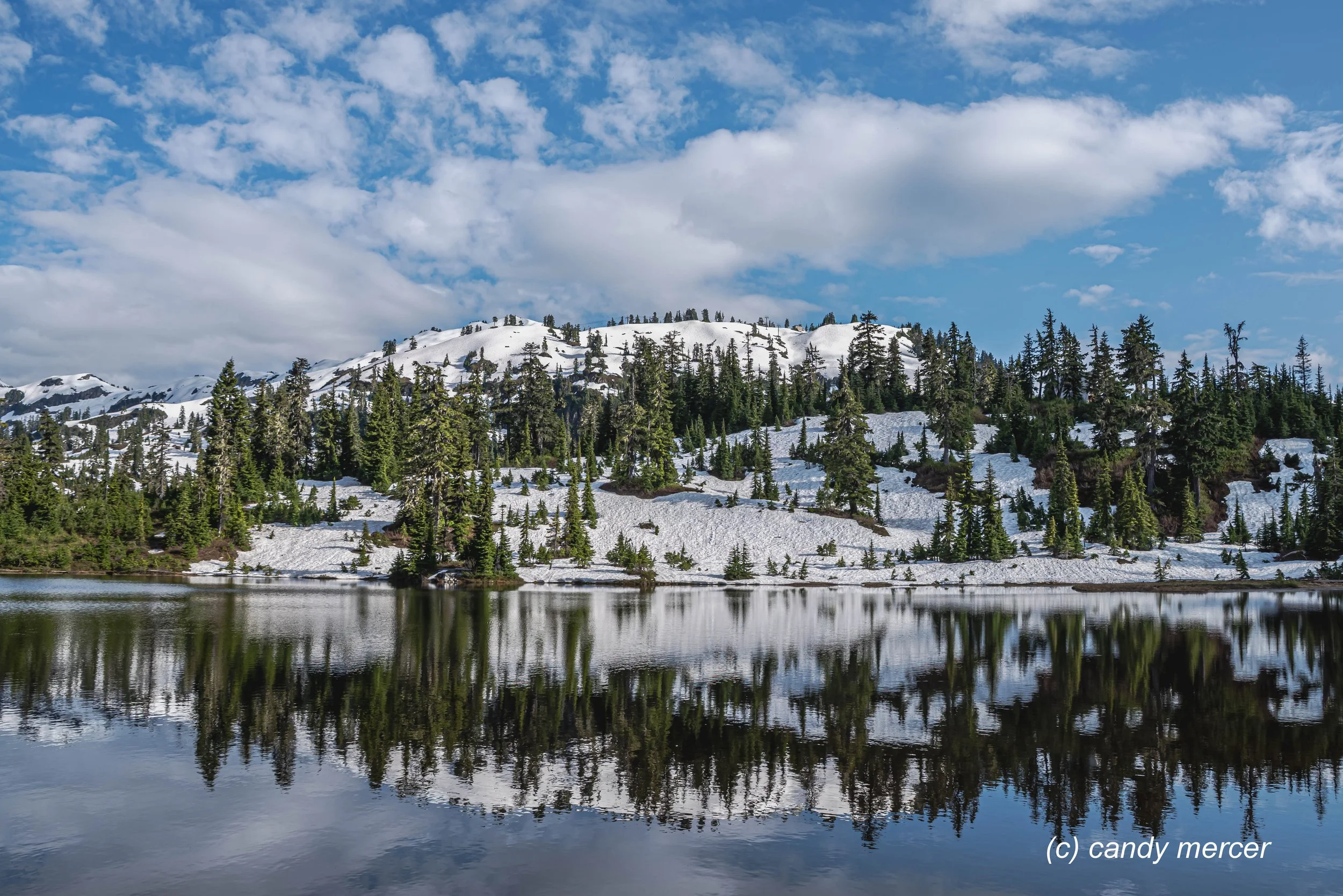Picture Lake near Mt Baker