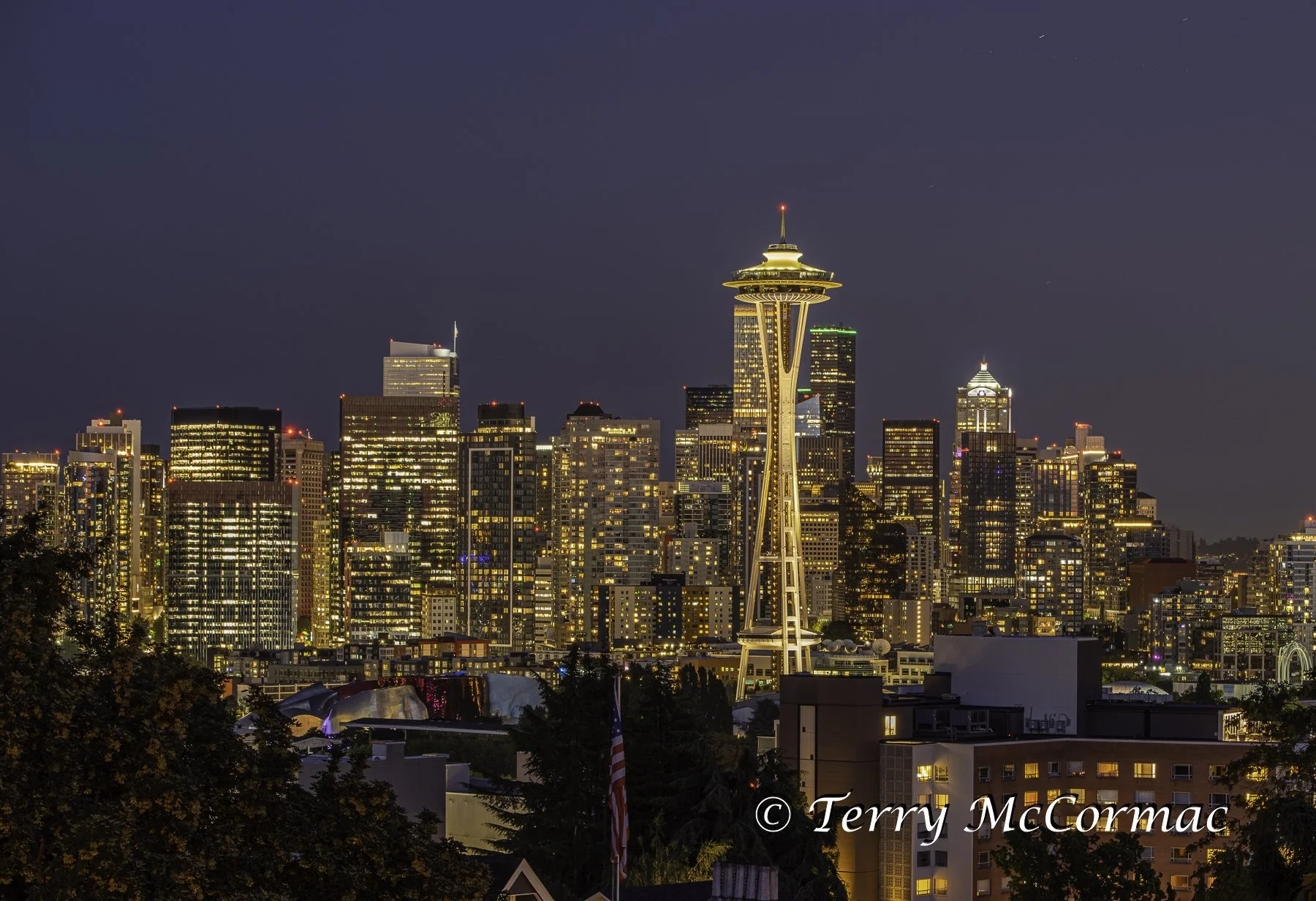 Seattle Cityscape