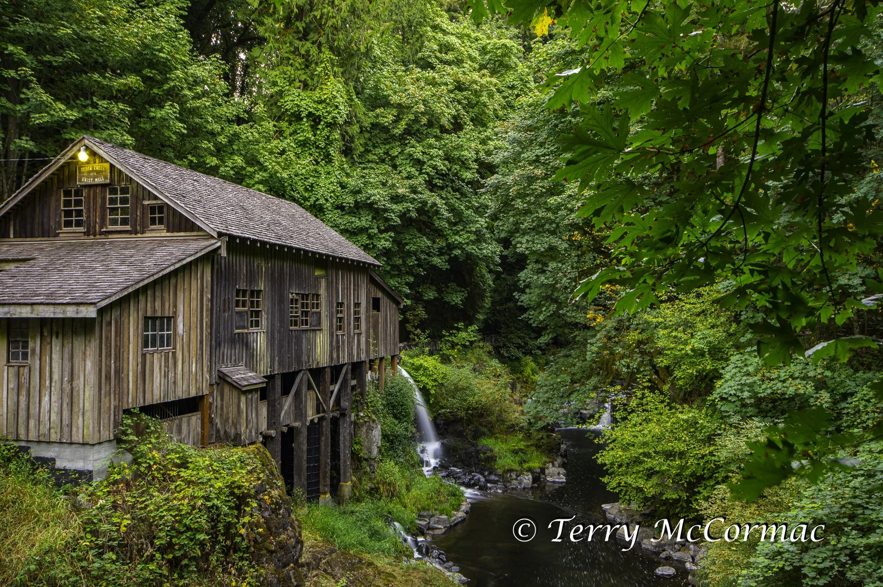 Cedar Creek Grist Mill, Spring