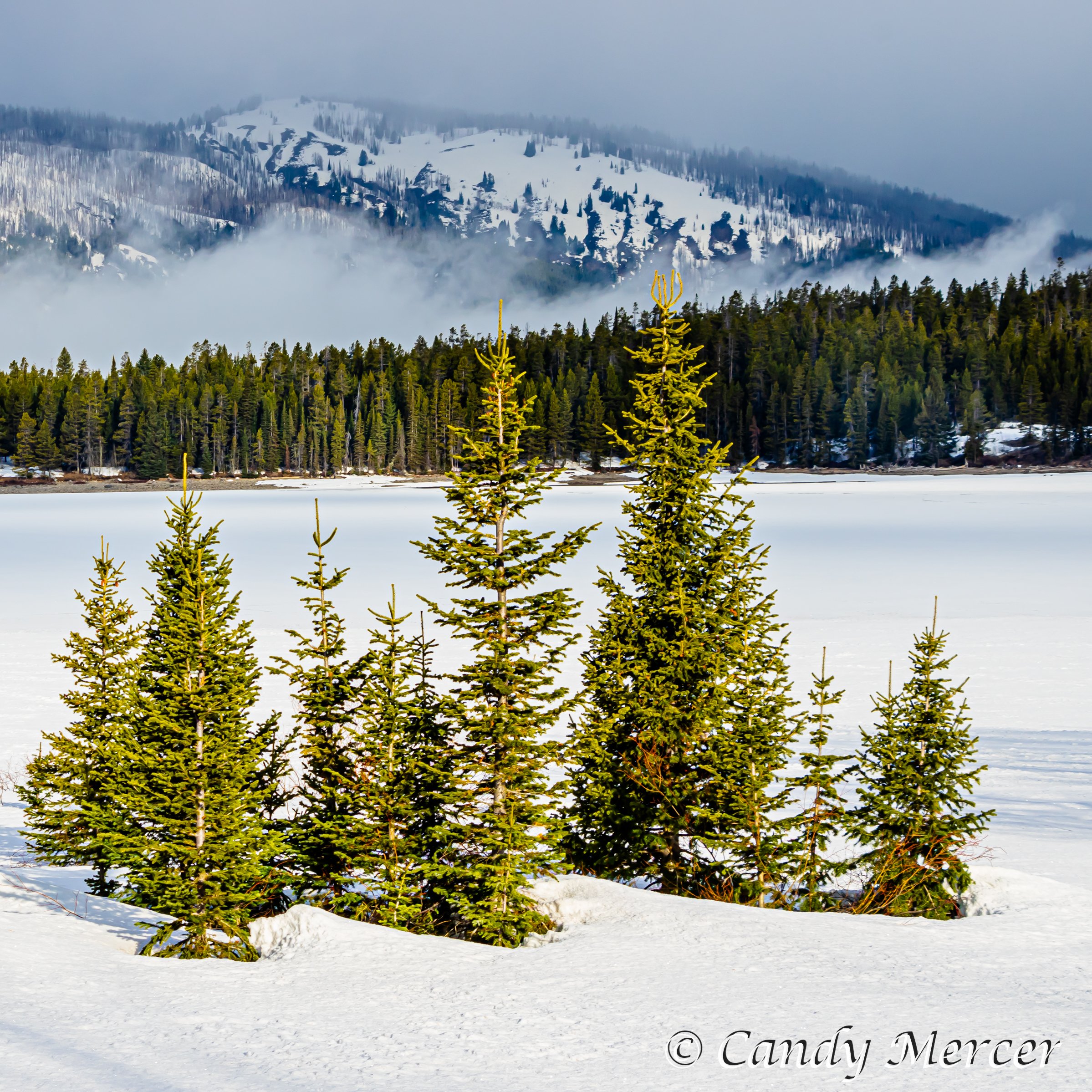 Grand Teton N.P., Wyoming