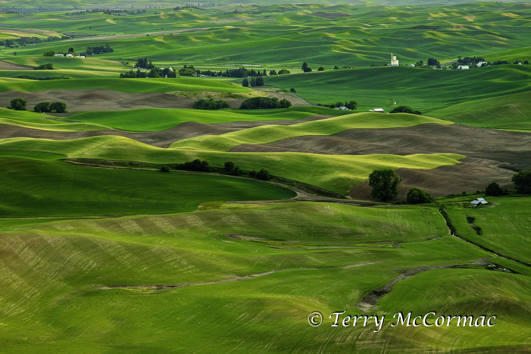 The Palouse from Steptoe Butte State Park