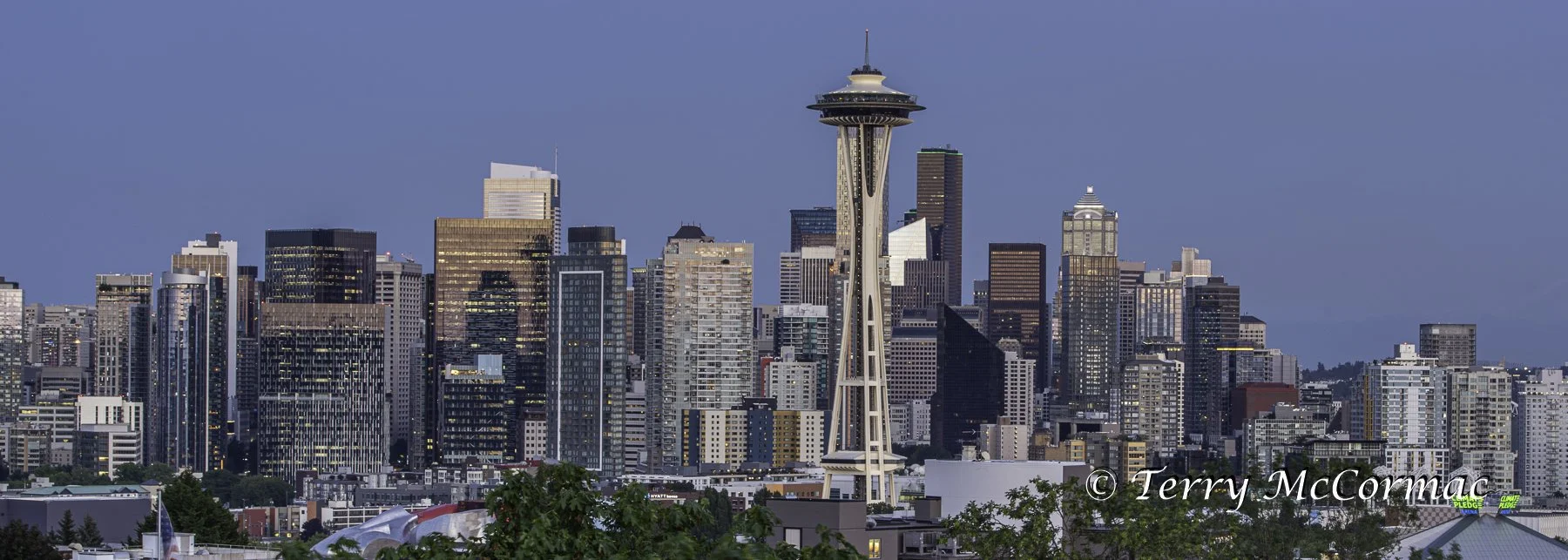 Seattle Cityscape