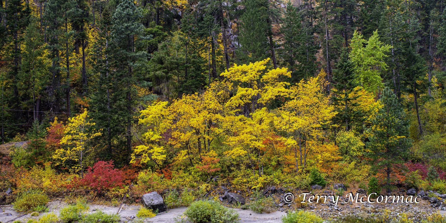 Fall Color Leavenworth 