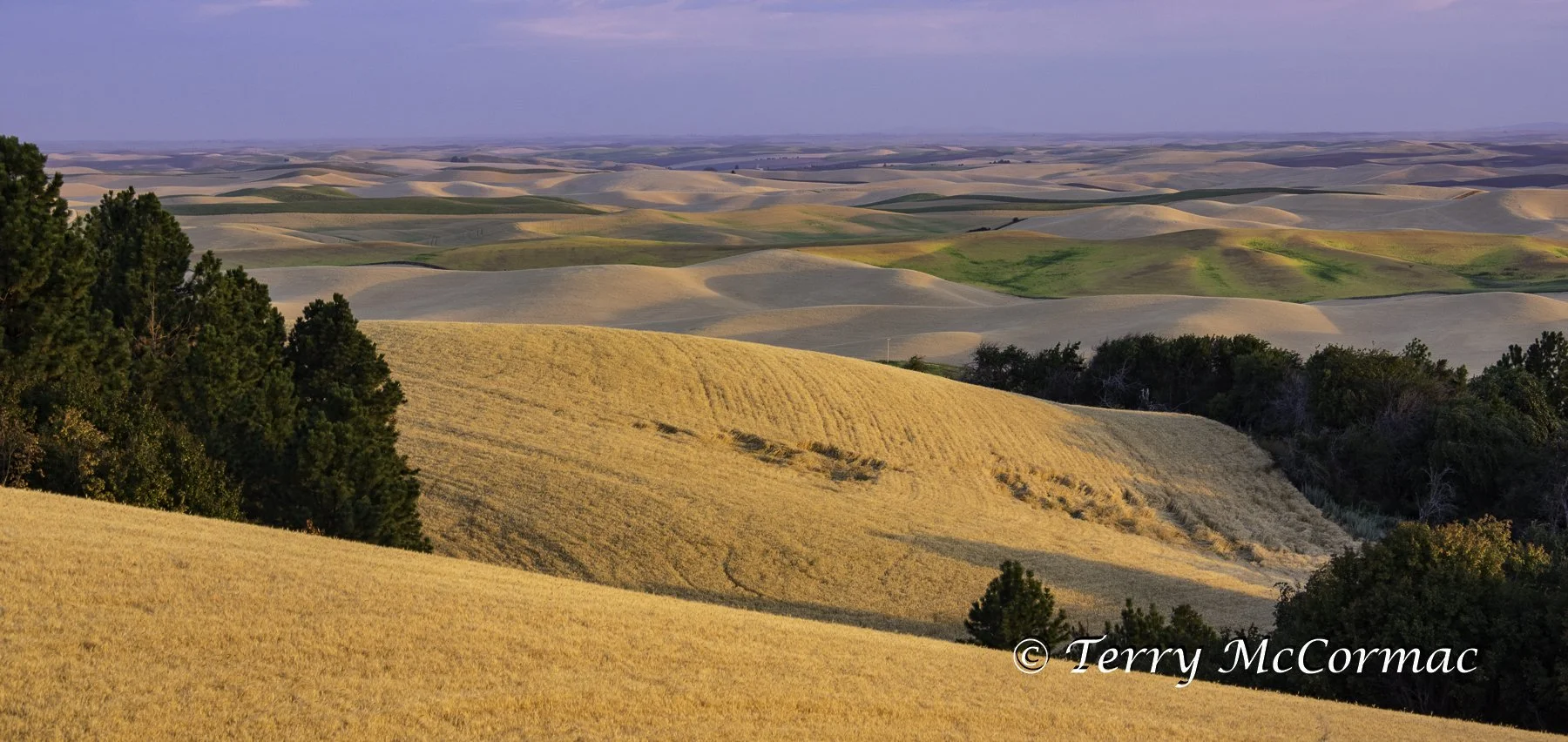 The Palouse