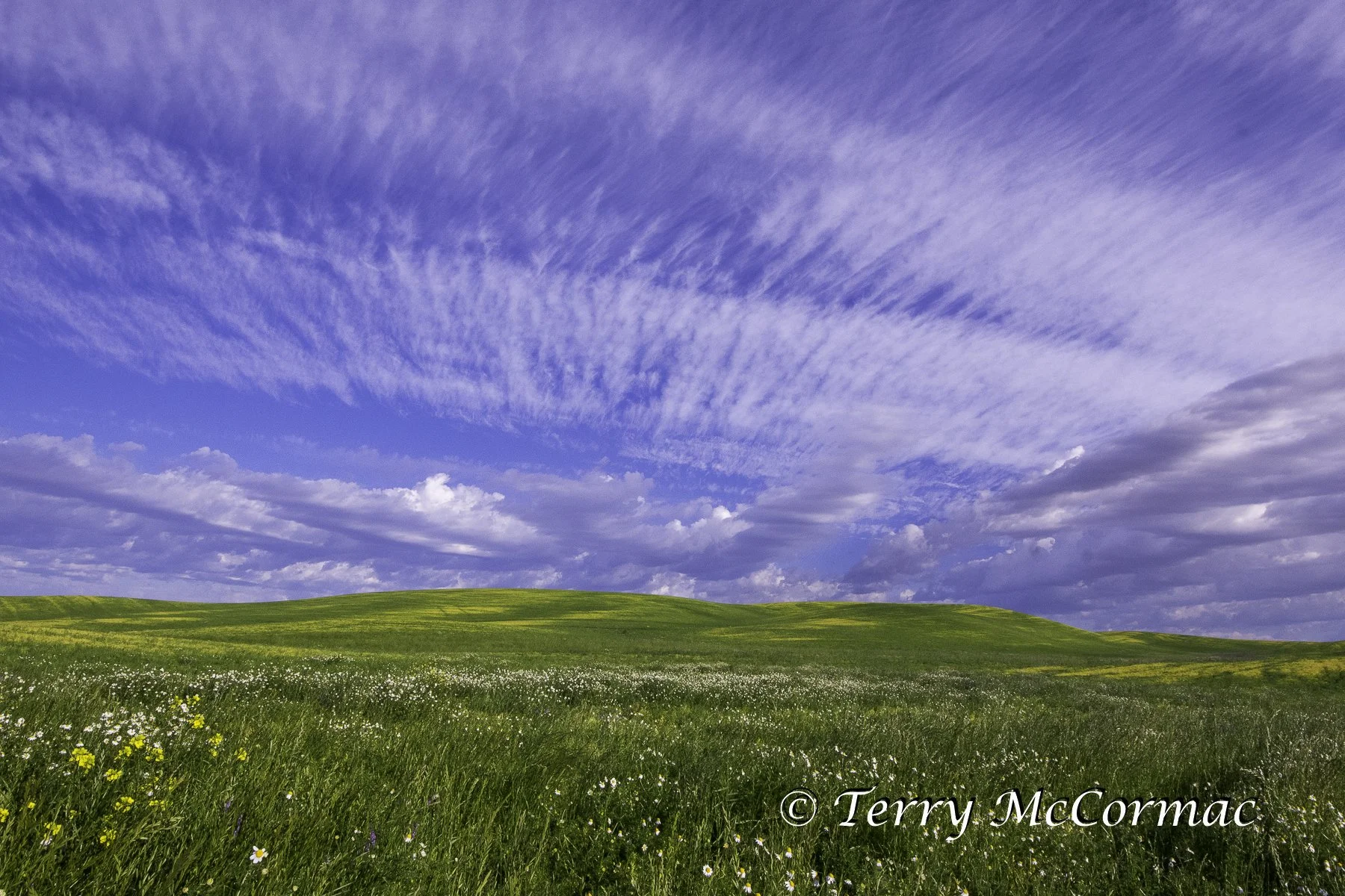The Palouse