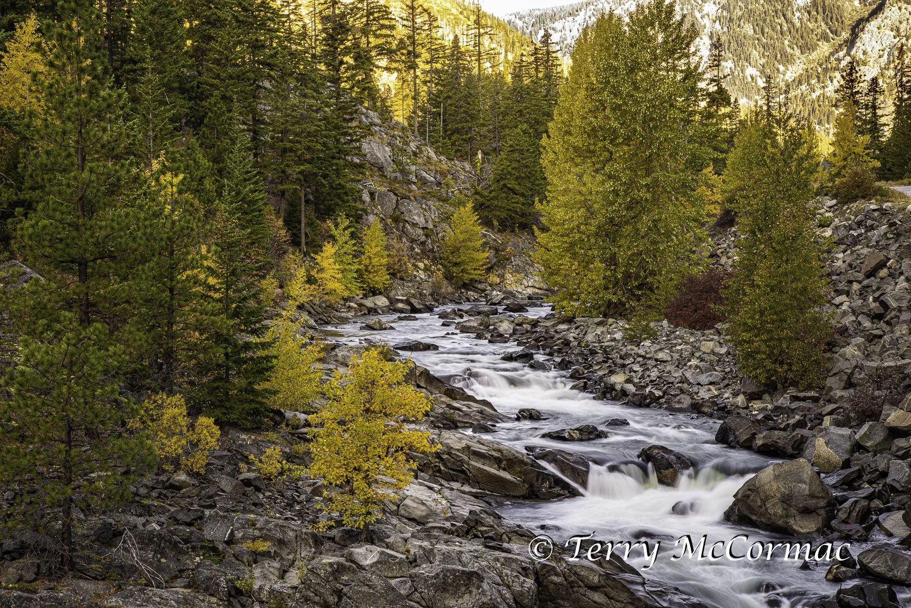 Fall Color along the Icicle Creek Near Leavenworth