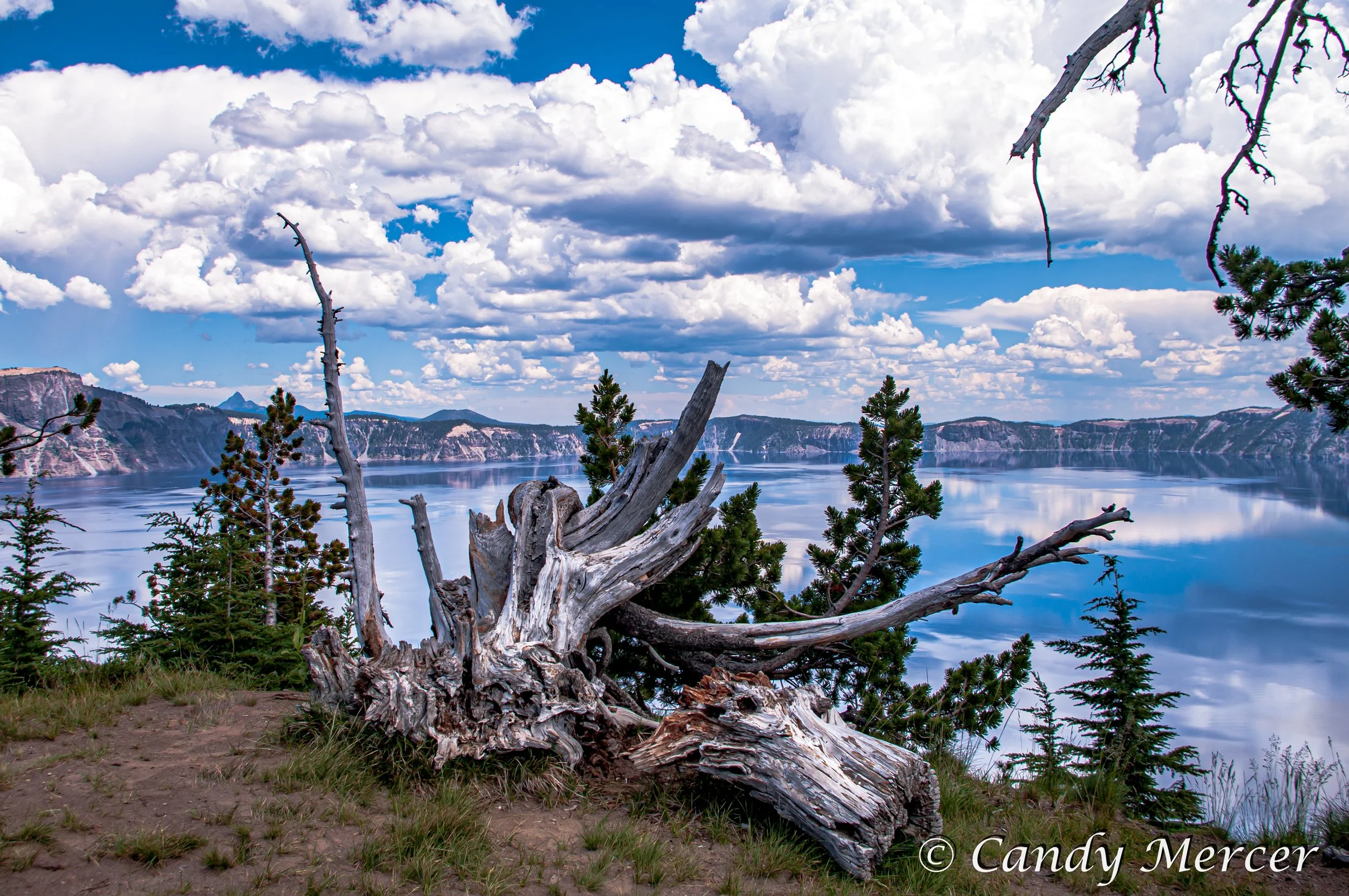 Crater Lake N.P., Oregon