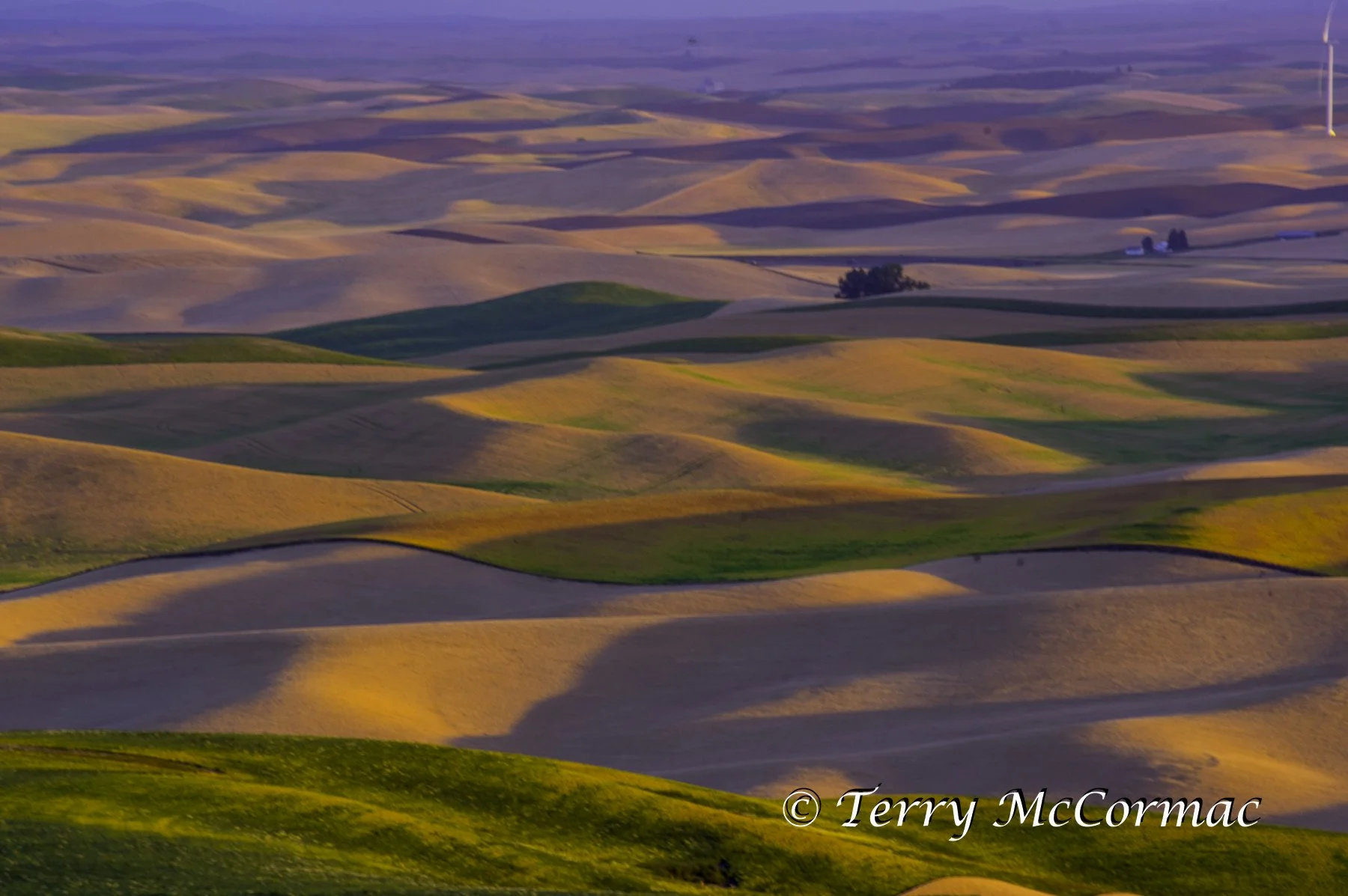 The Palouse