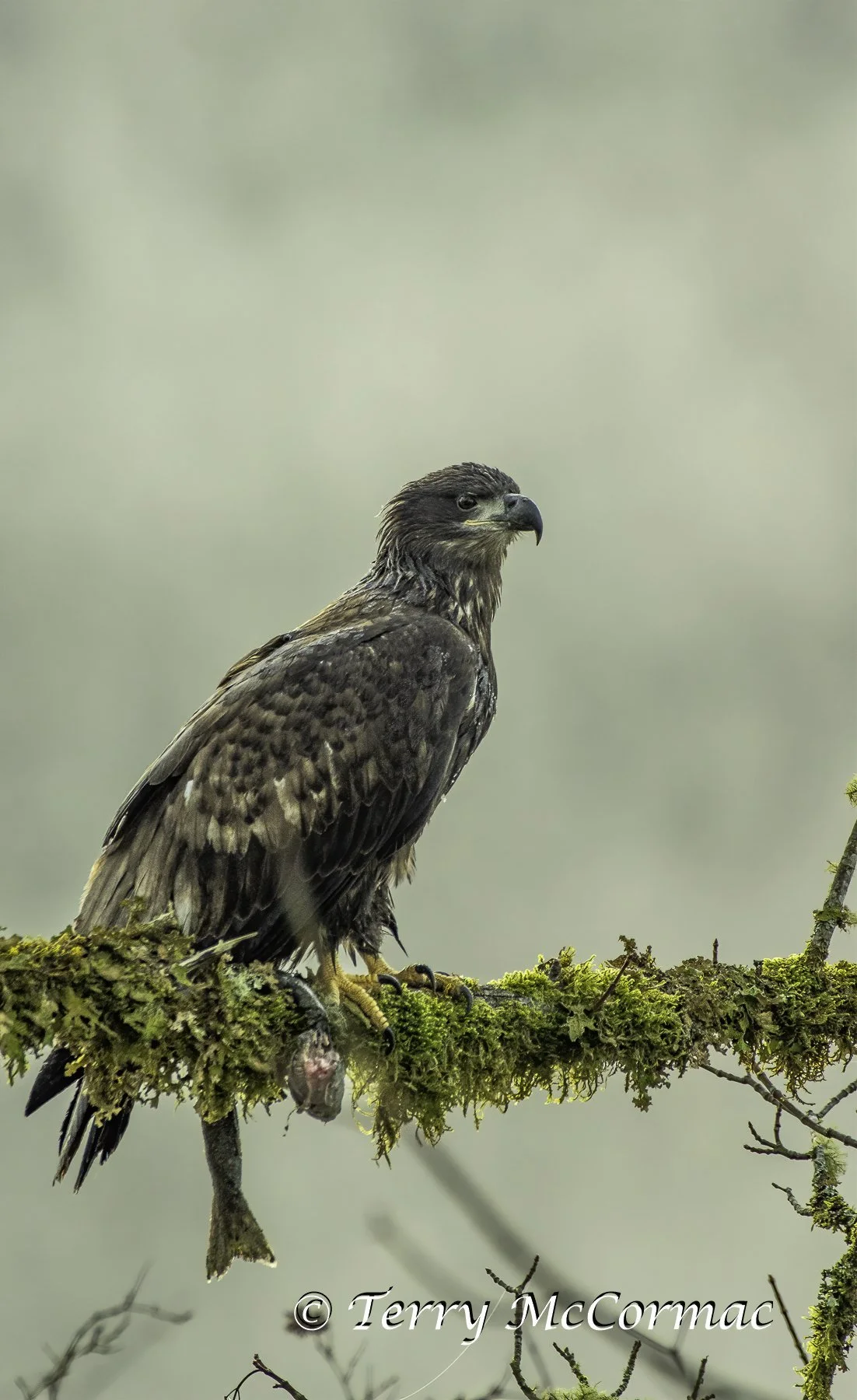 B10346-Edit.jpg