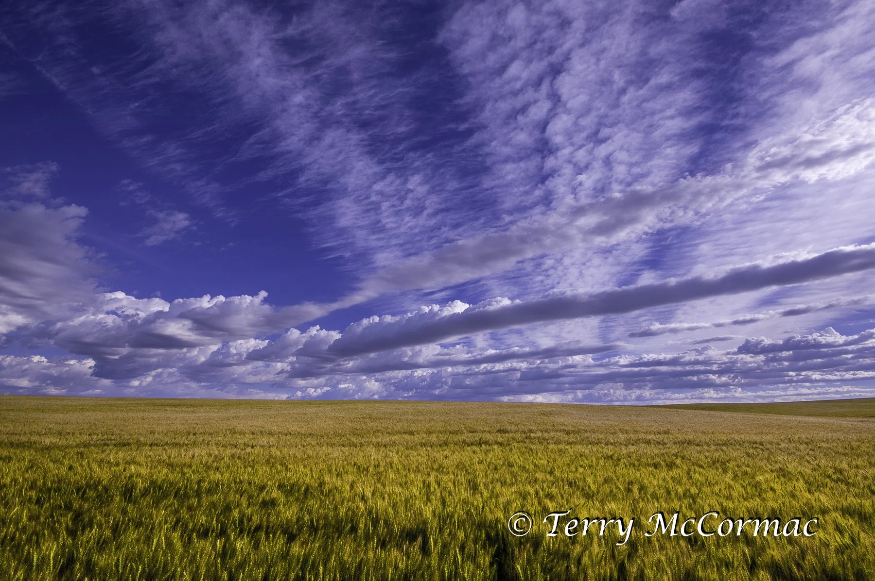 The Palouse