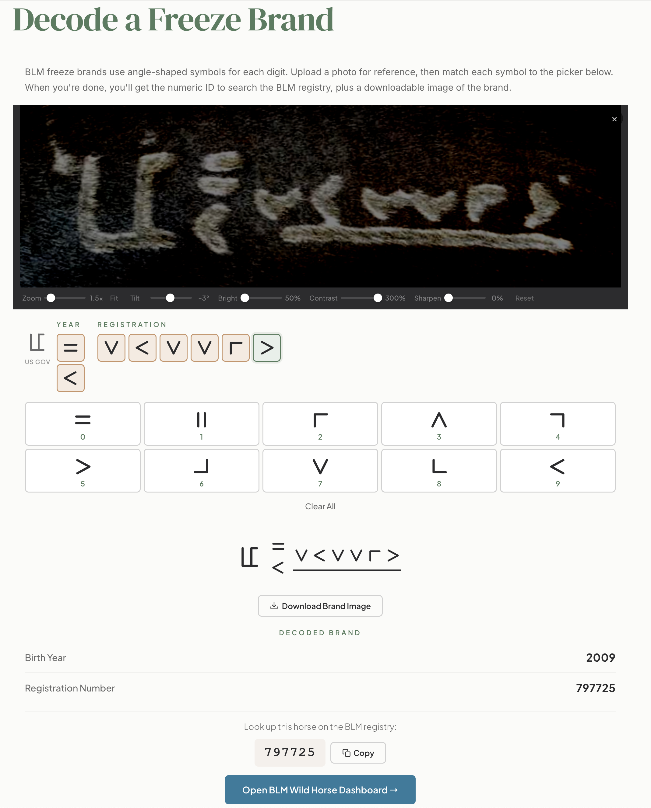 Screenshot of a webpage titled "Decode a Freeze Brand." It shows an interface for matching an image of a brand on a horse with its corresponding alphanumeric code.